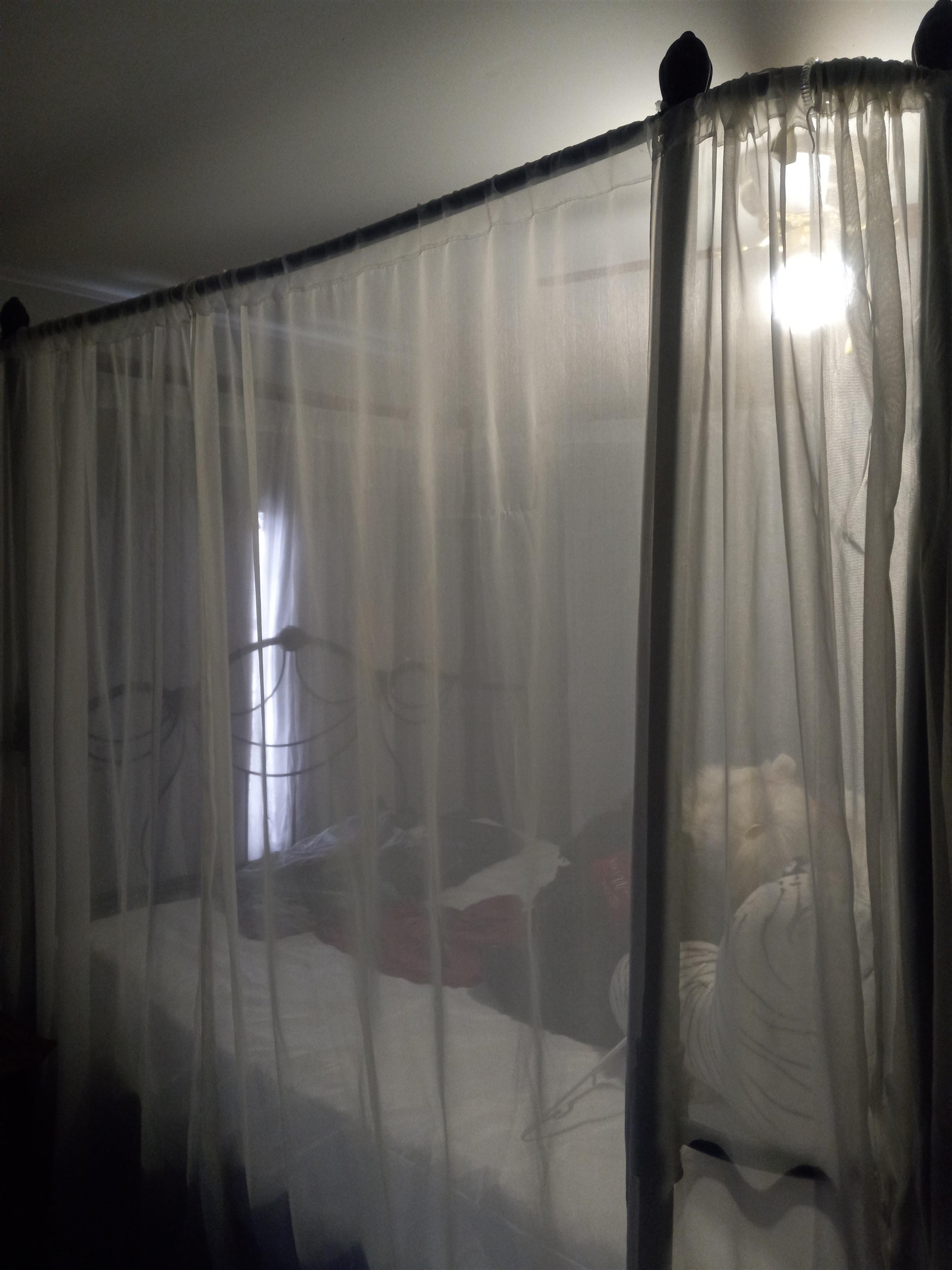 208 E Main Street, Hale, MI, 48739