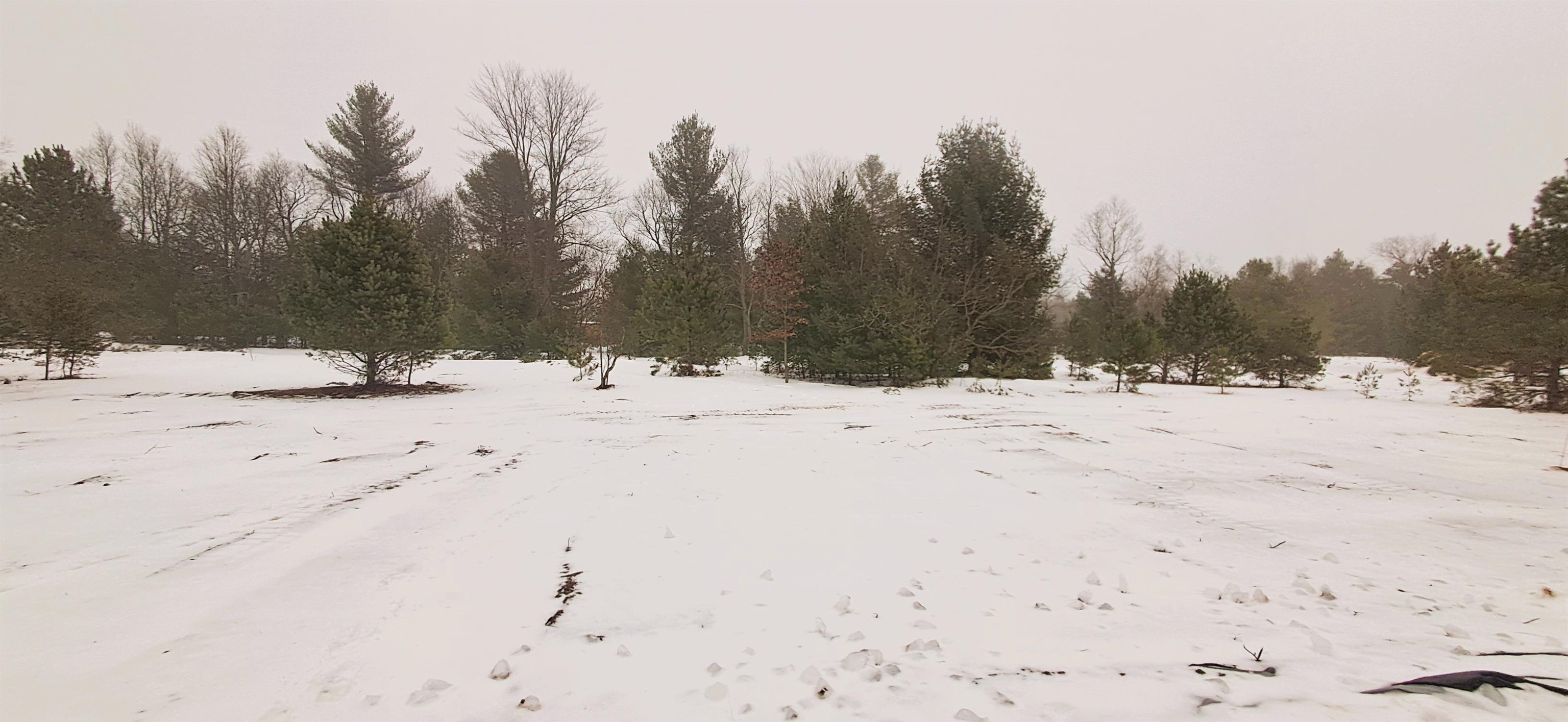 2221 Nancy Kay Avenue photo 3