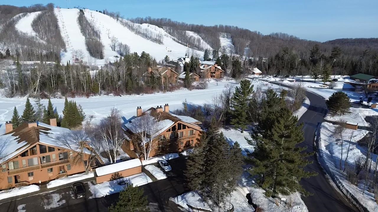 6658 Schuss Mountain Lane UNIT&nbsp;3251, Mancelona, MI, 49659