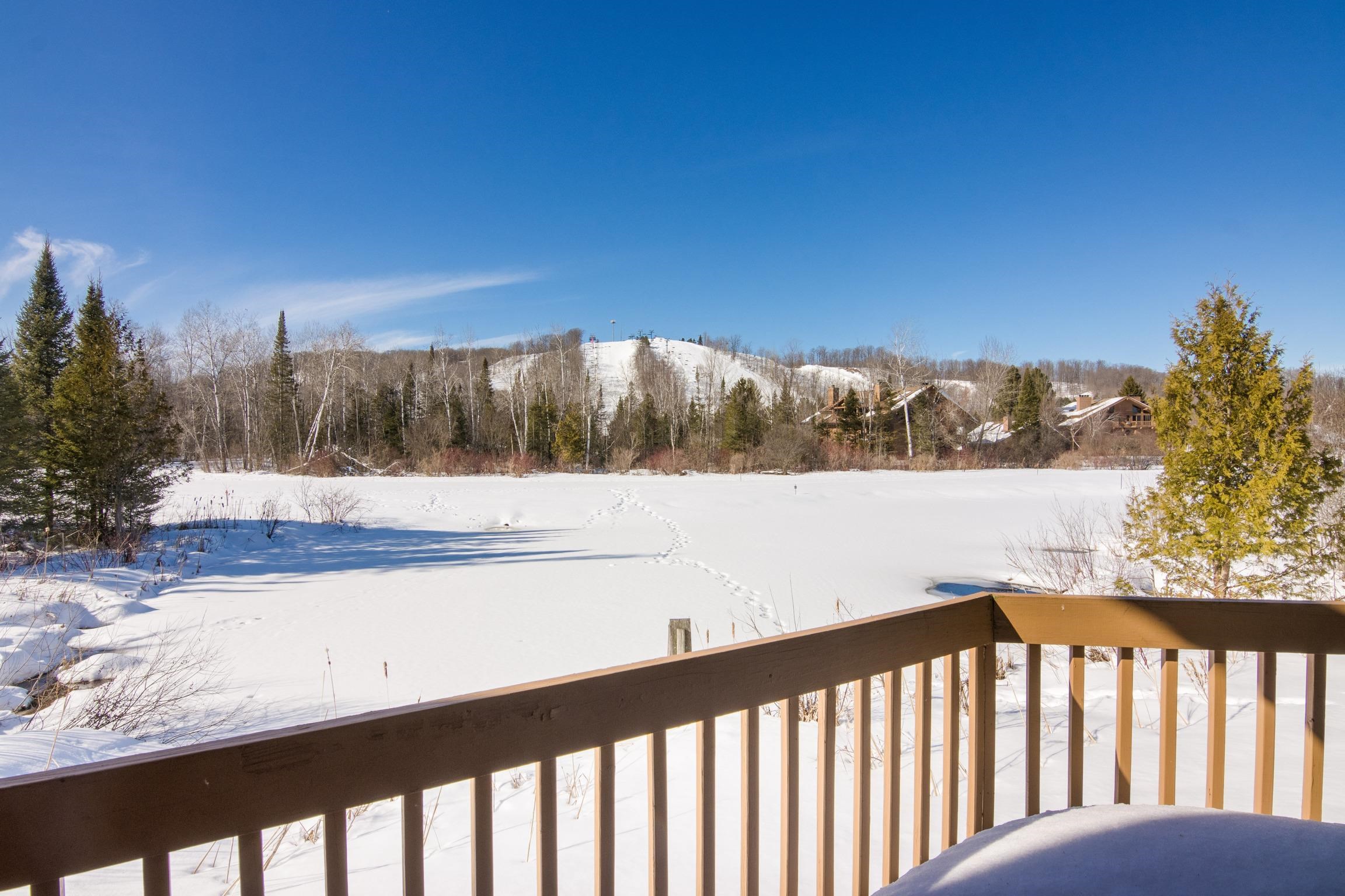 6658 Schuss Mountain Lane UNIT&nbsp;3251, Mancelona, MI, 49659