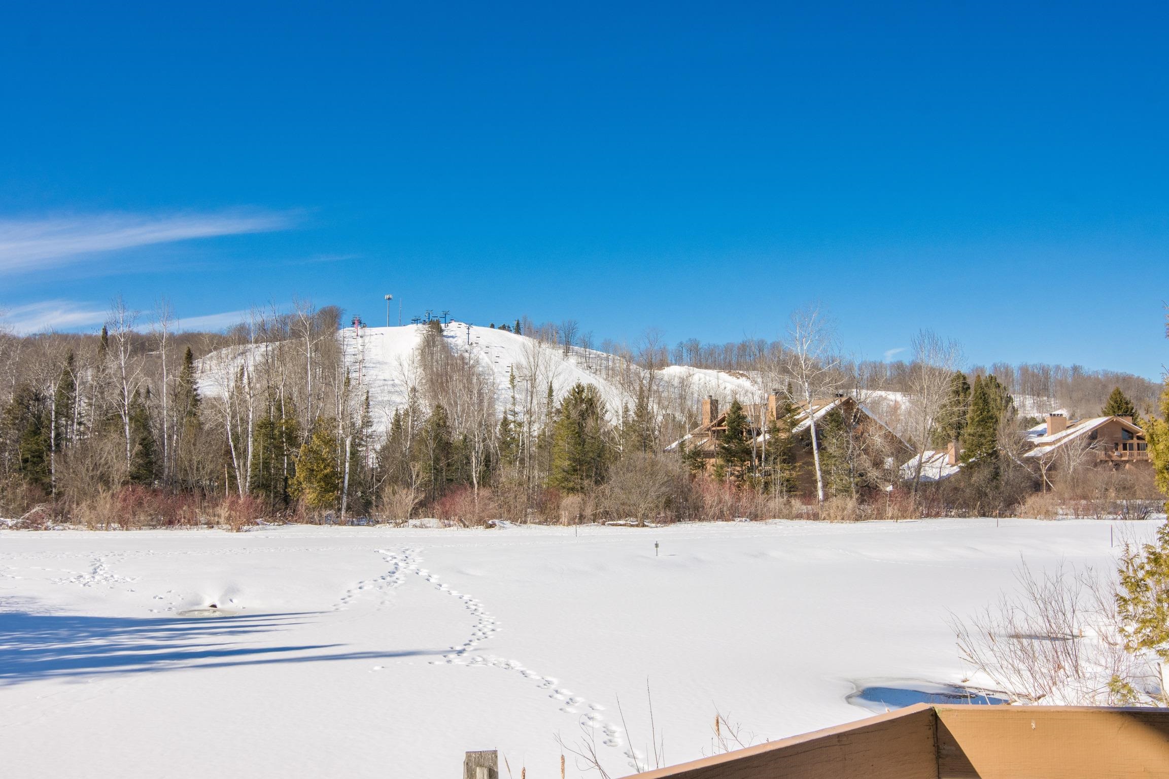 6658 Schuss Mountain Lane UNIT&nbsp;3251, Mancelona, MI, 49659