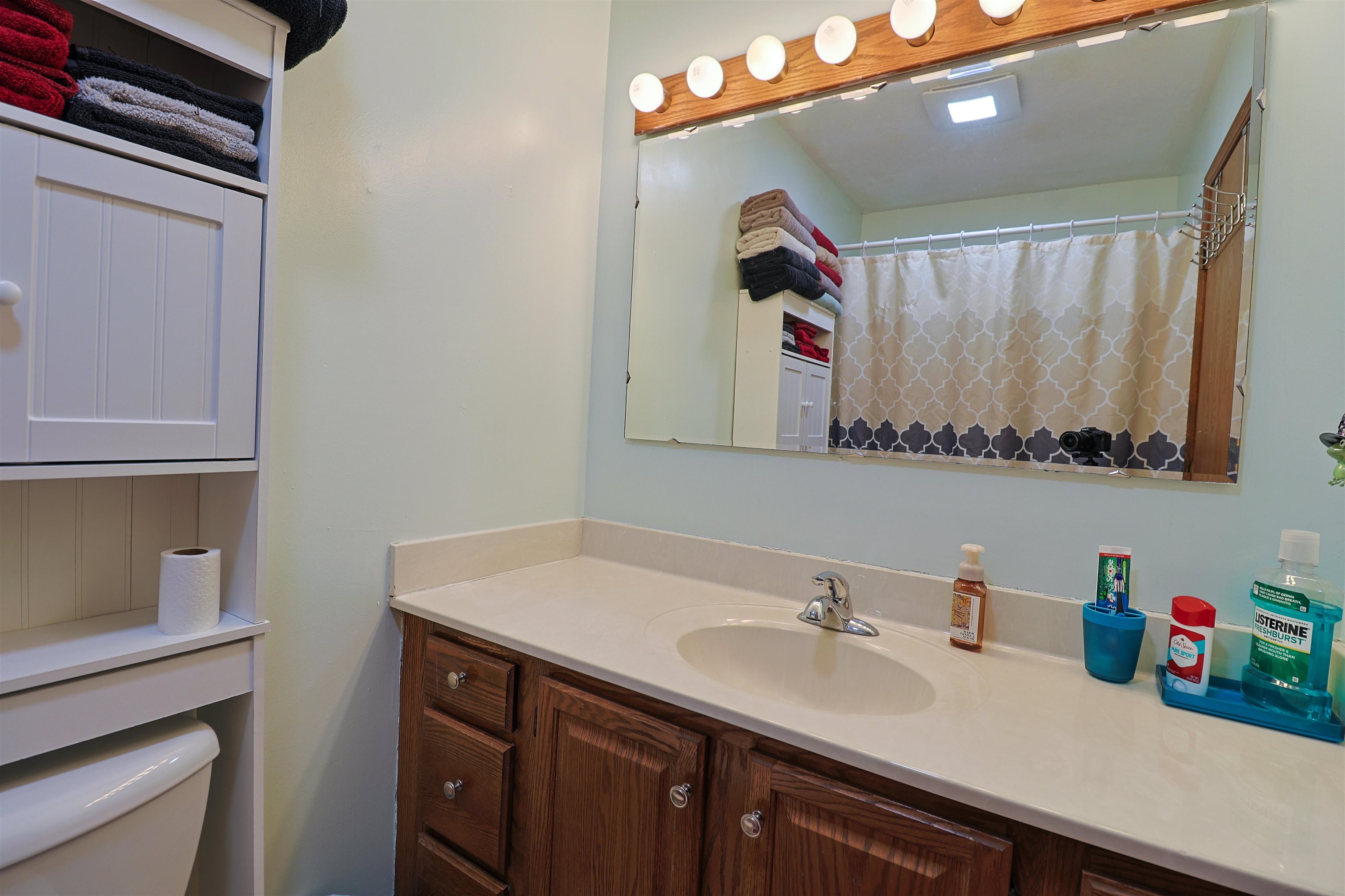 Mount Pleasant, MI, 48858