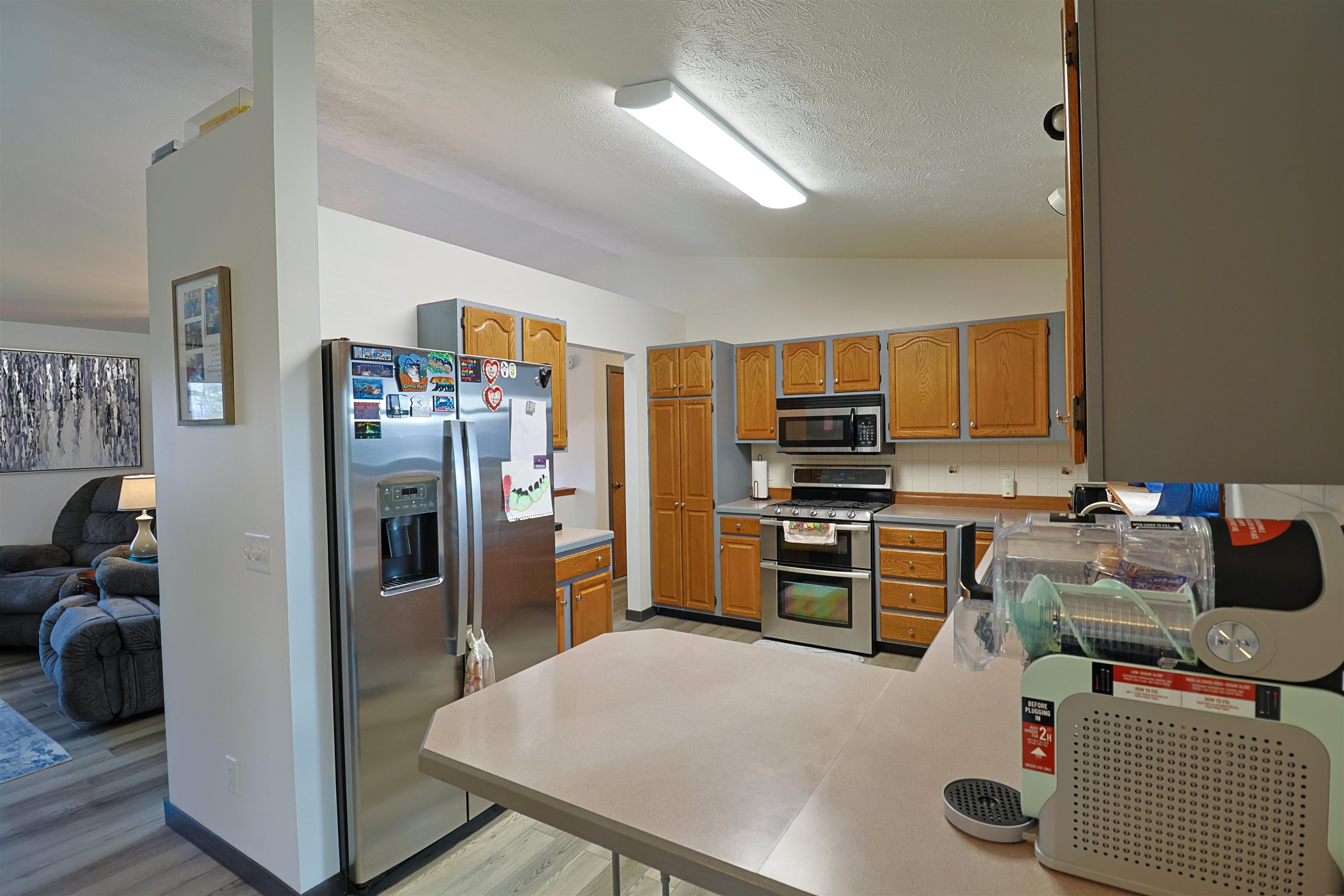 Mount Pleasant, MI, 48858