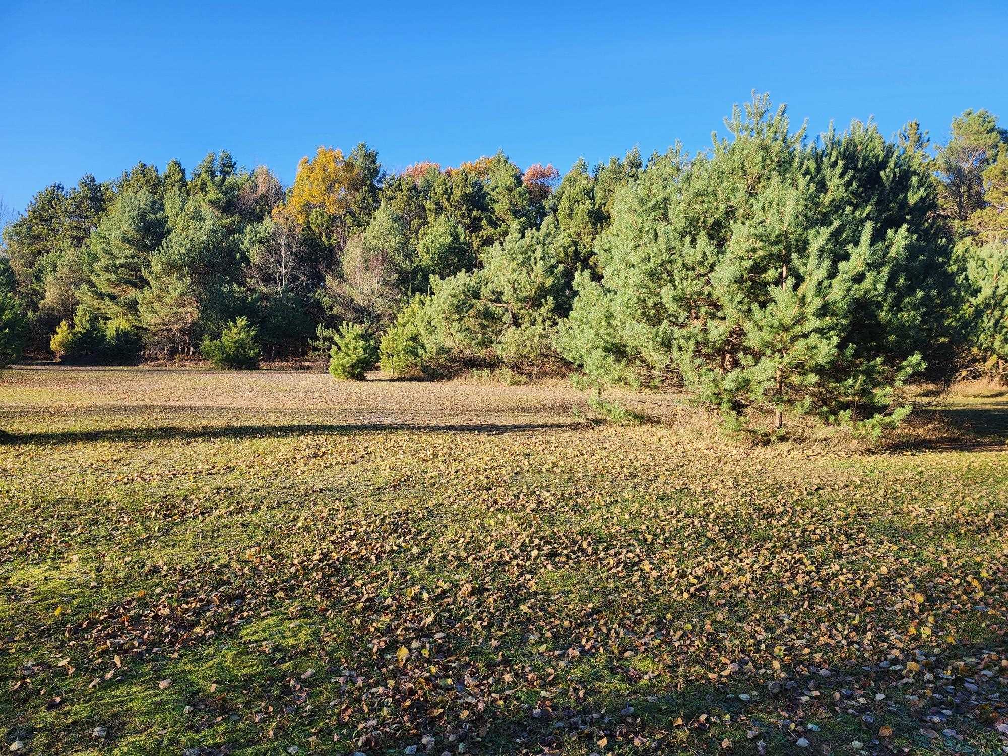 VL 9 Mile Road, Kaleva, MI, 49645