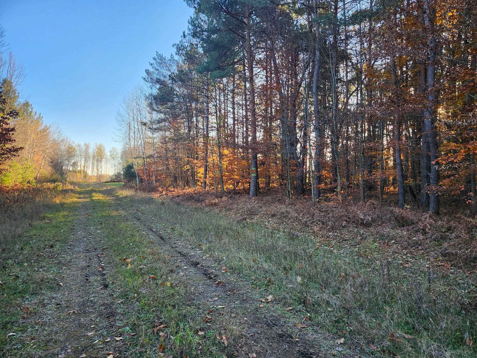 VL 9 Mile Road, Kaleva, MI, 49645