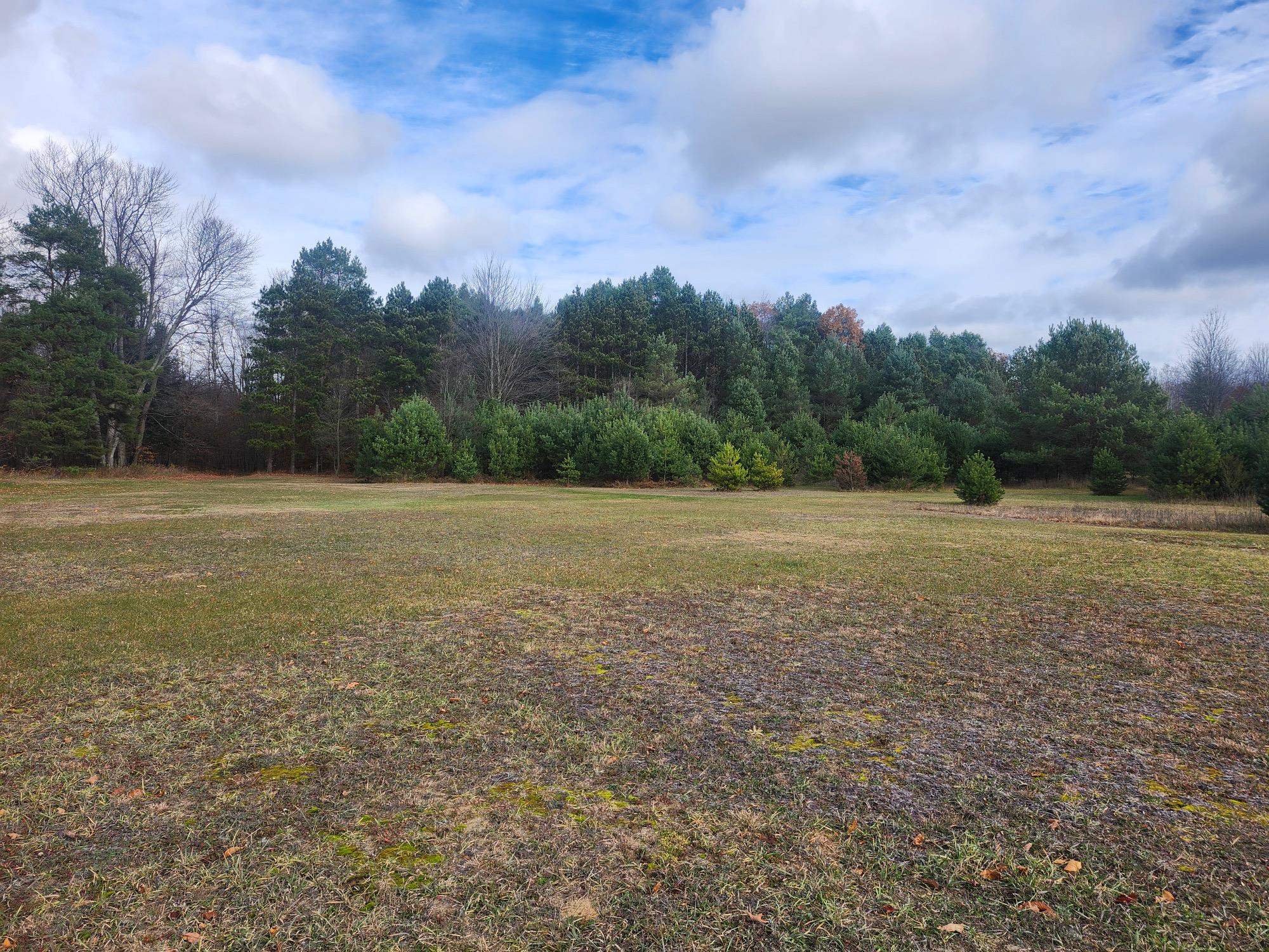 VL 9 Mile Road, Kaleva, MI, 49645