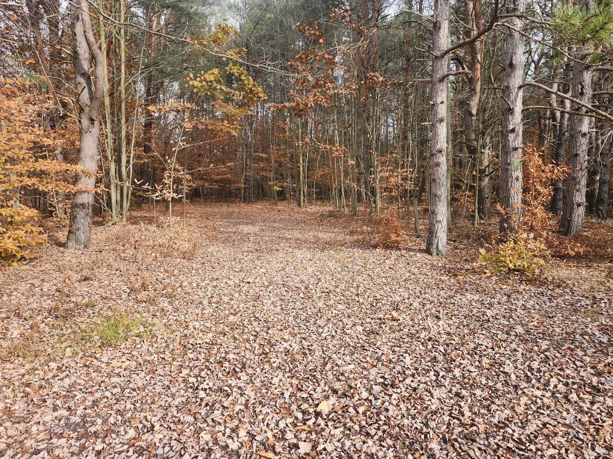 VL 9 Mile Road, Kaleva, MI, 49645