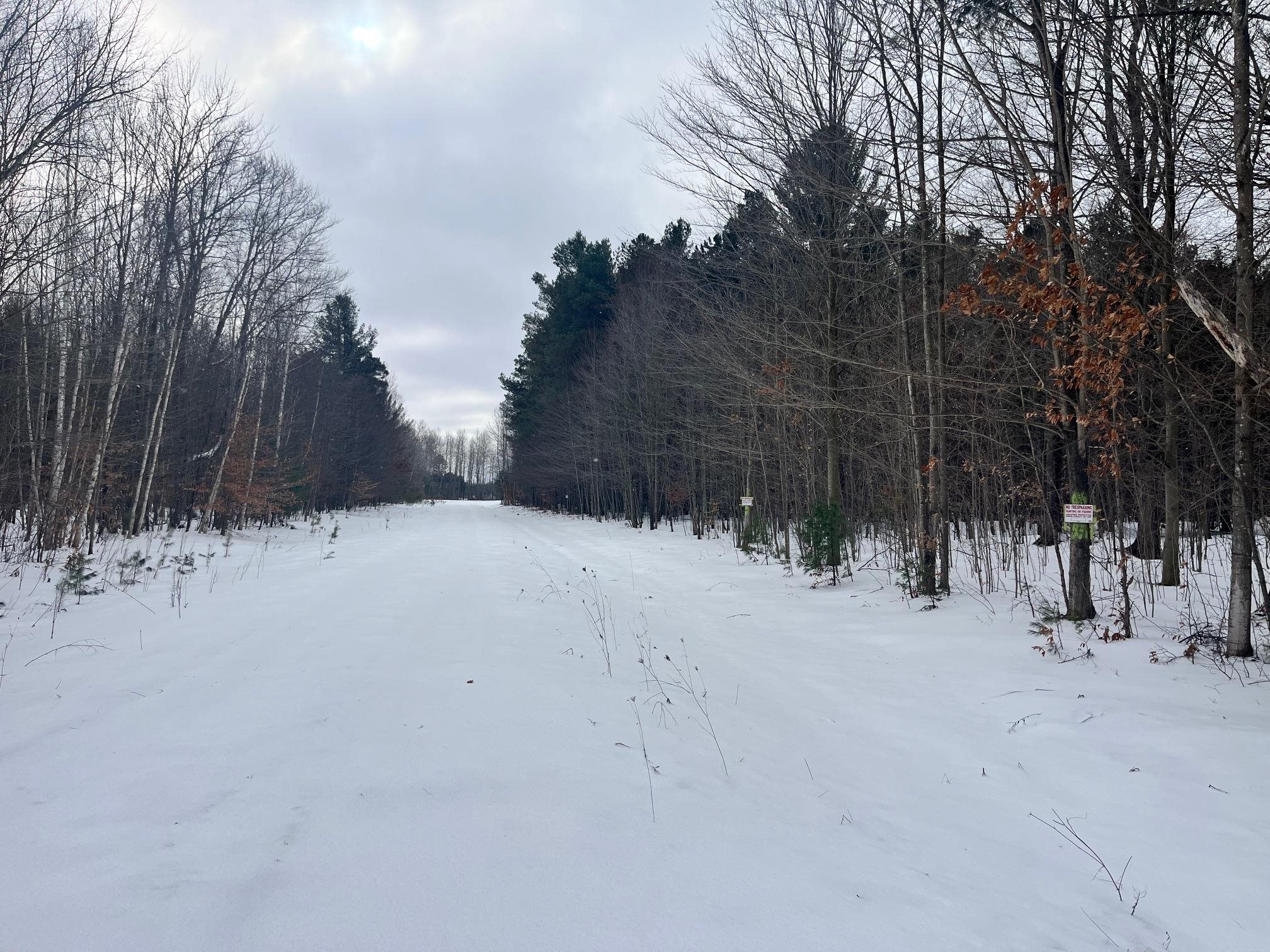 VL 9 Mile Road, Kaleva, MI, 49645