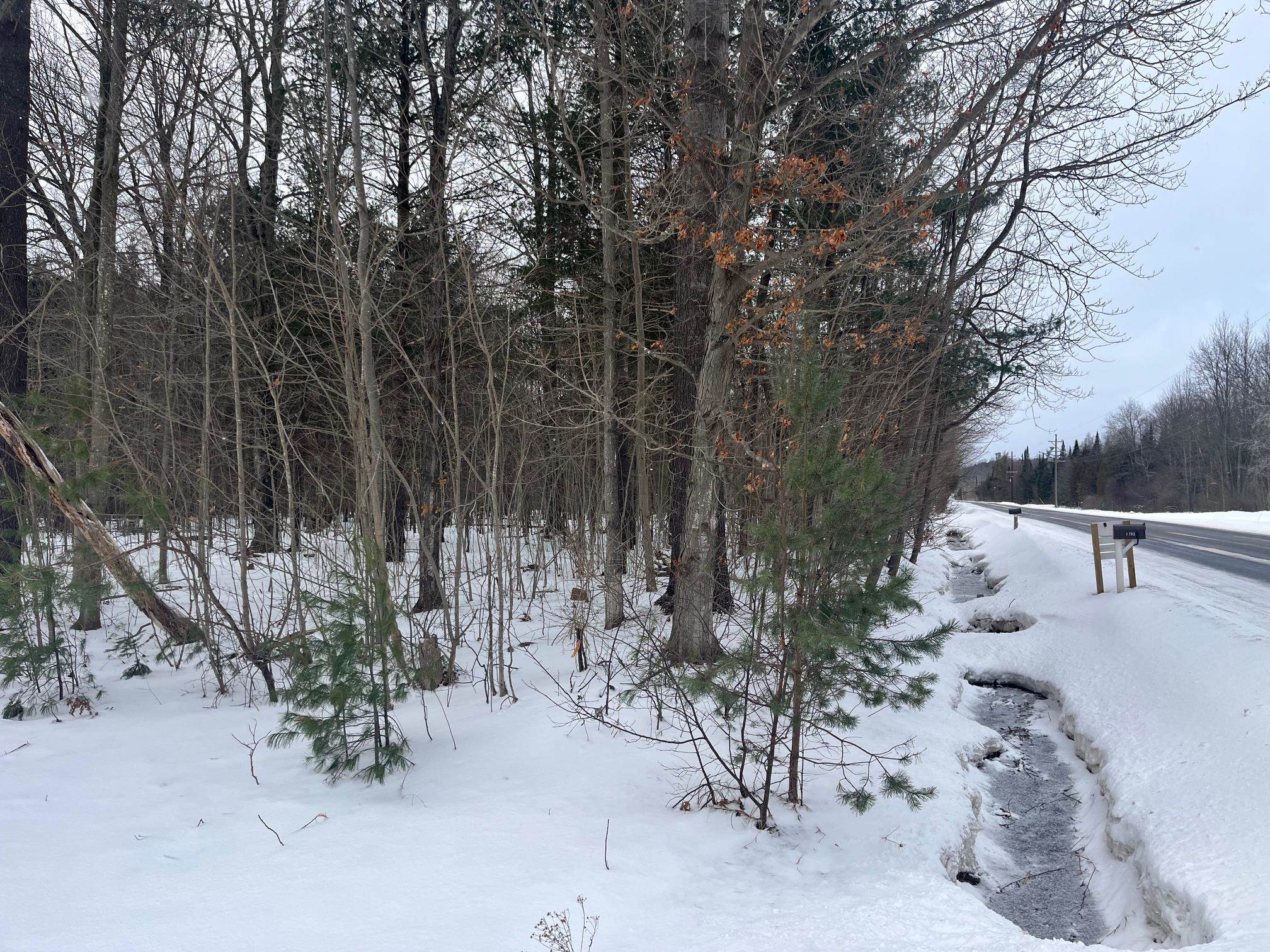 VL 9 Mile Road, Kaleva, MI, 49645