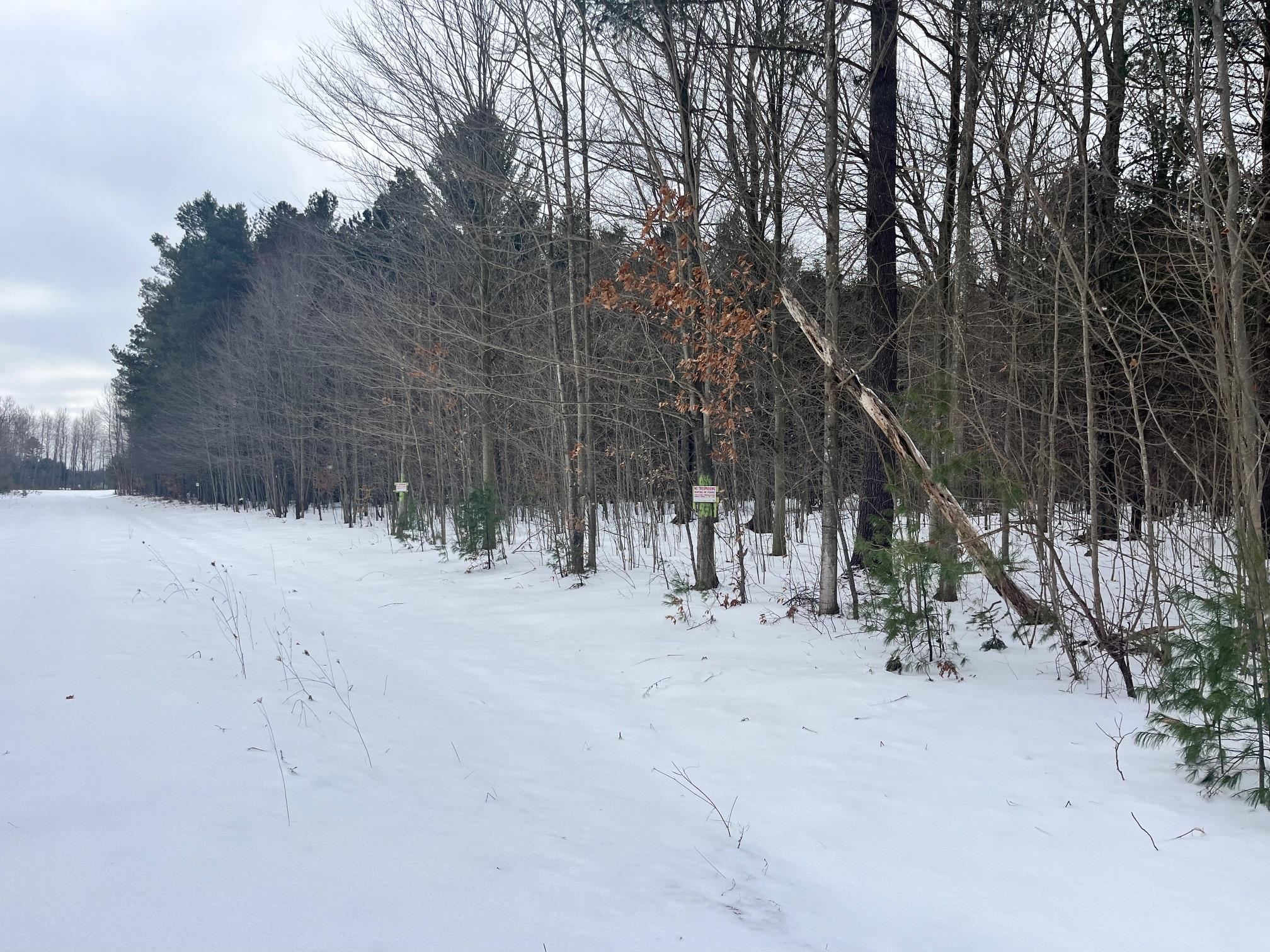 VL 9 Mile Road, Kaleva, MI, 49645