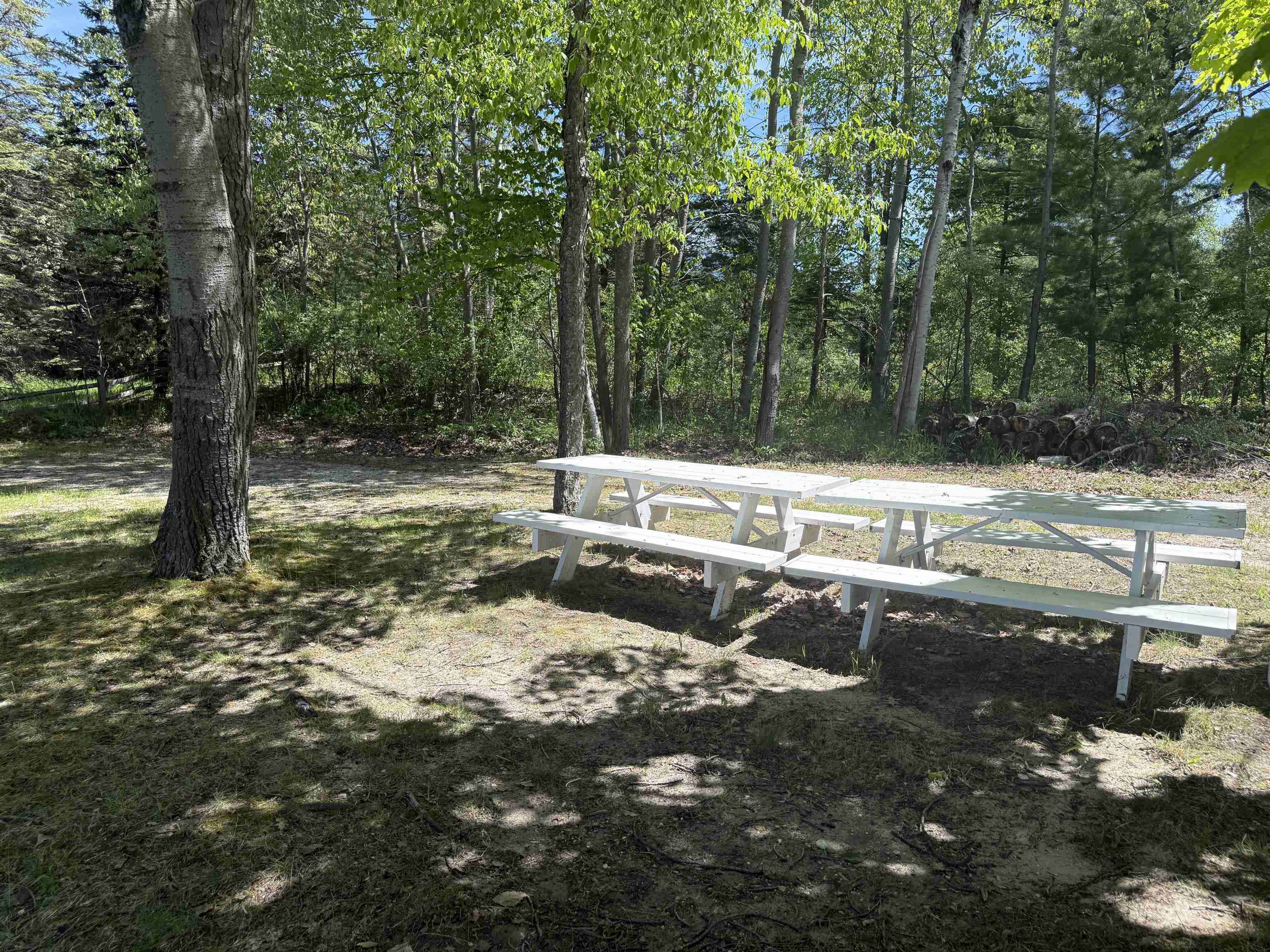 5th image of 8923 Se Torch Lake Dr, Alden, MI 49612 | MLS# 80065621