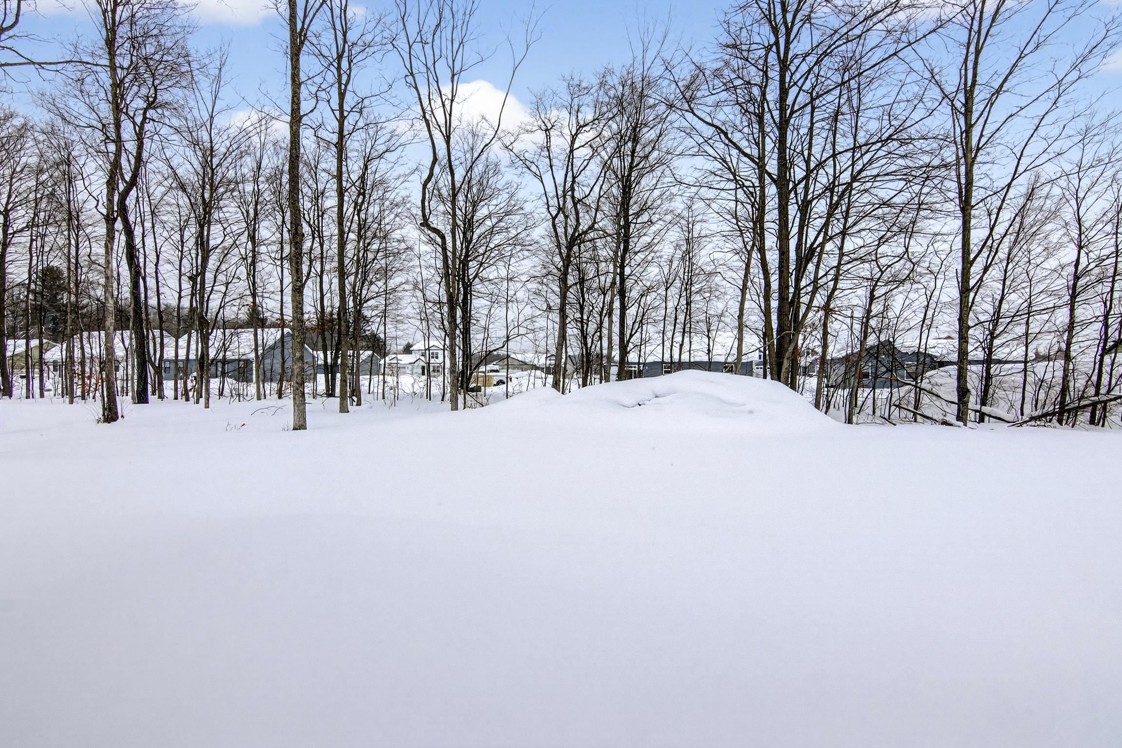 2134 Cottonwood Avenue, Grawn, MI, 49637