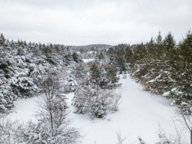 TBD Traverse Road, Thompsonville, MI, 49683