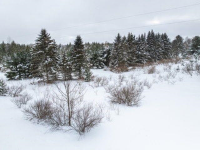 TBD Traverse Road photo 7