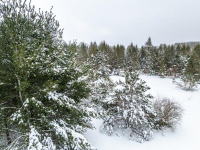 TBD Traverse Road, Thompsonville, MI, 49683