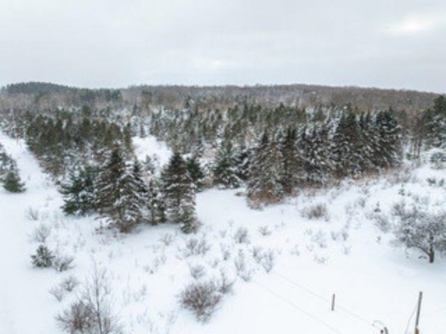 TBD Traverse Road, Thompsonville, MI, 49683