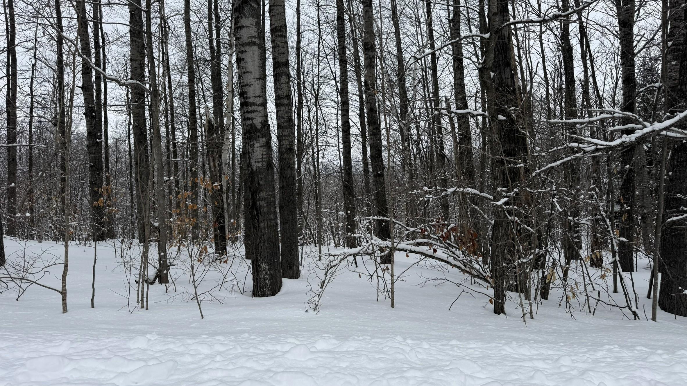 Lot 35 Wilderness Drive Lot: 35 photo 4