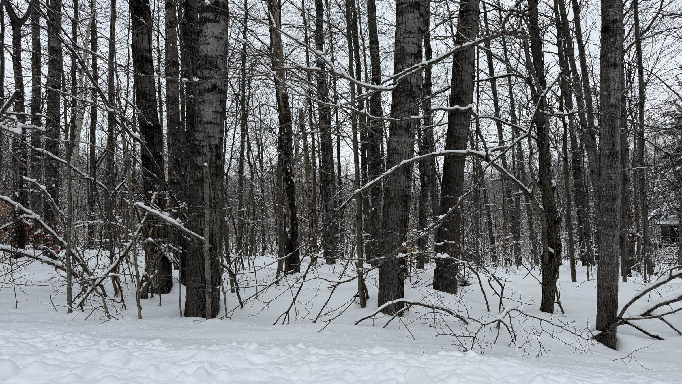 Lot 35 Wilderness Drive Lot: 35 photo 5