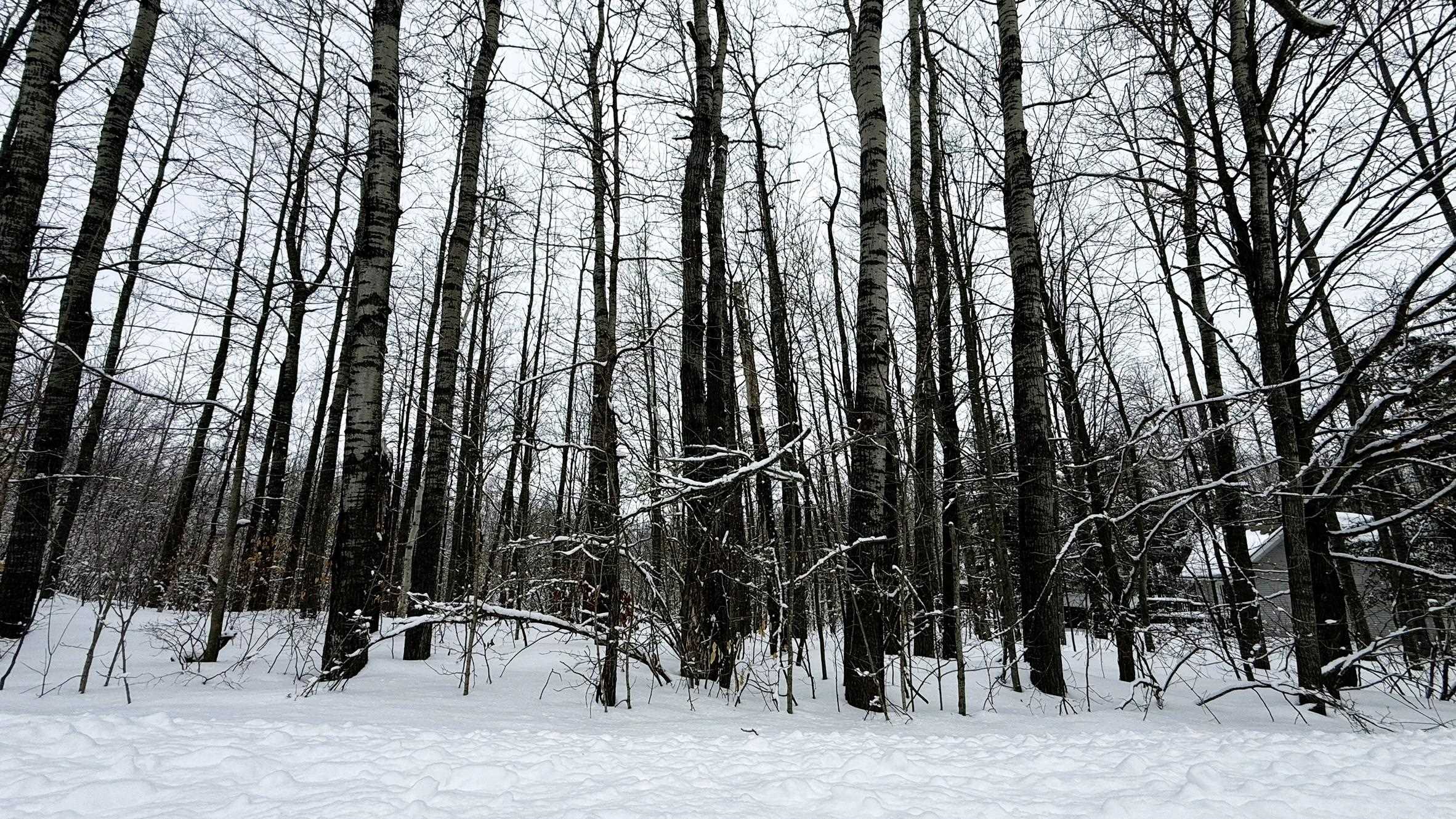 Lot 35 Wilderness Drive Lot: 35 photo 6