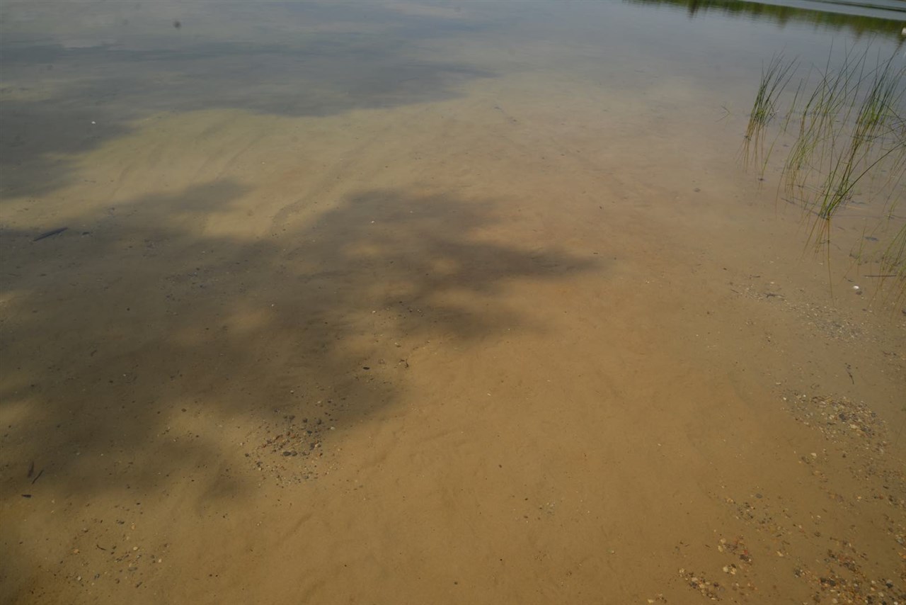 Picture 13