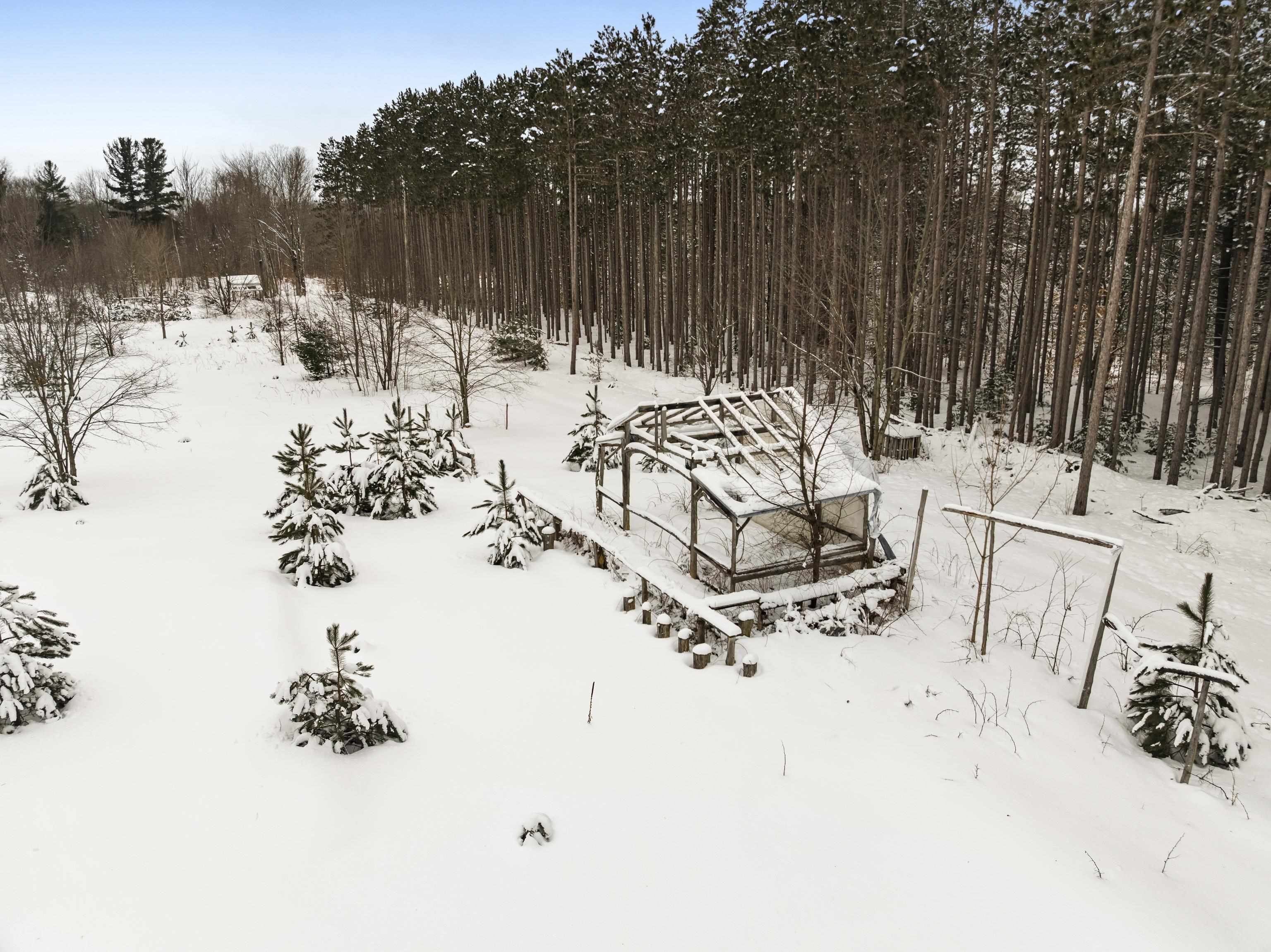 0000 Landis Road, Thompsonville, MI, 49683-1234