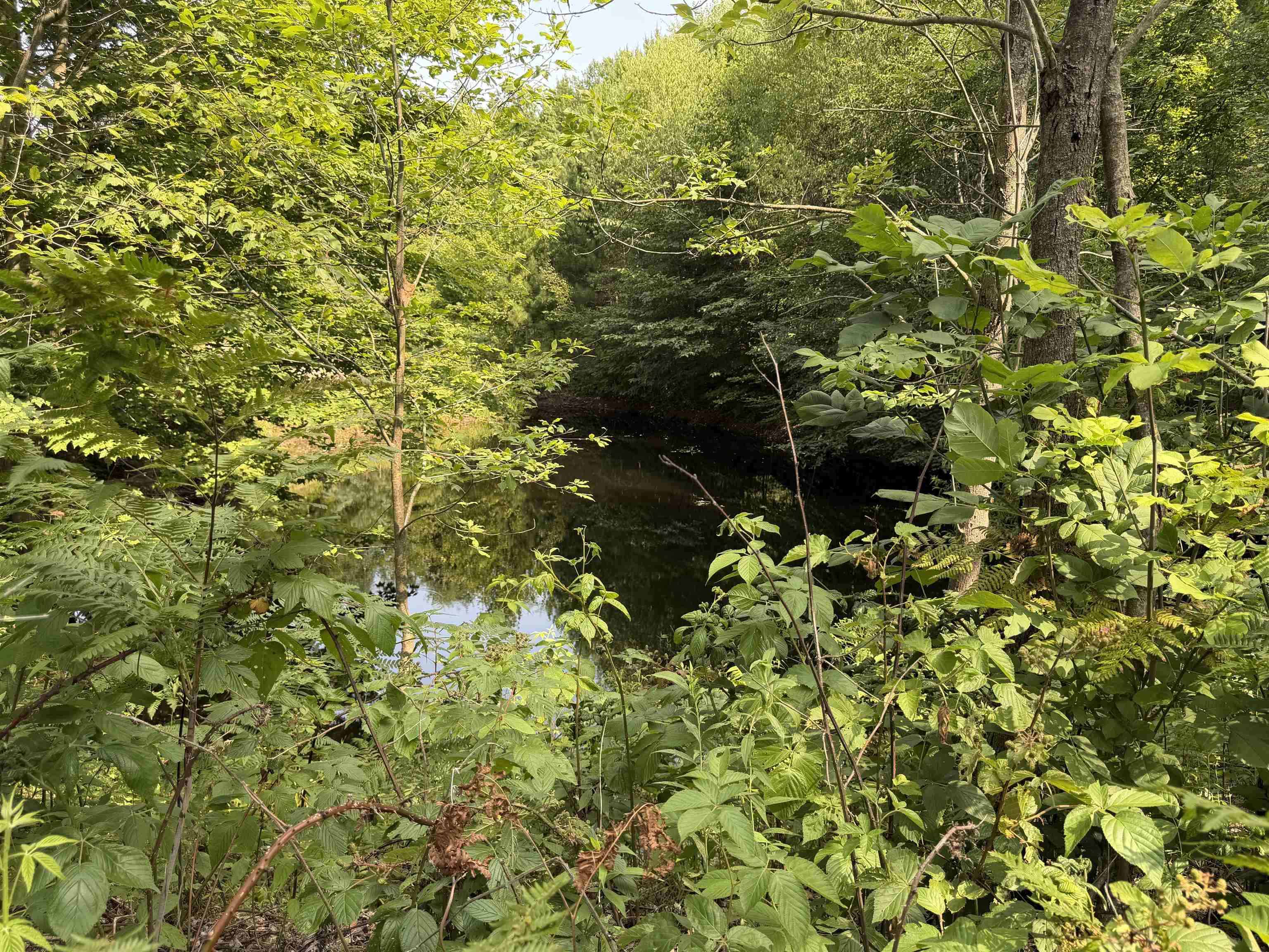 2nd image of 0000 Landis Rd, Thompsonville, MI 49683 | MLS# 80065667