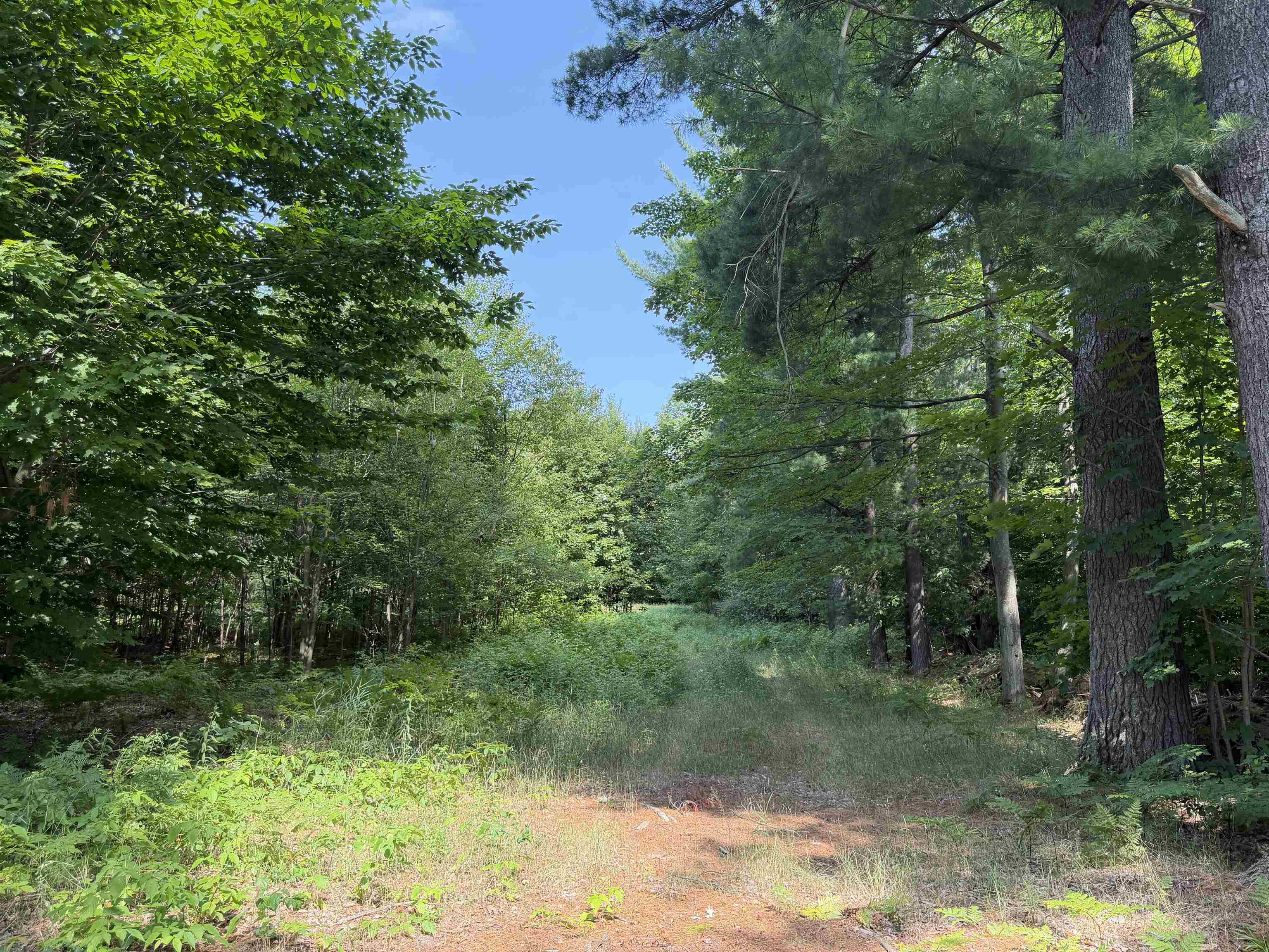 3rd image of 0000 Landis Rd, Thompsonville, MI 49683 | MLS# 80065667