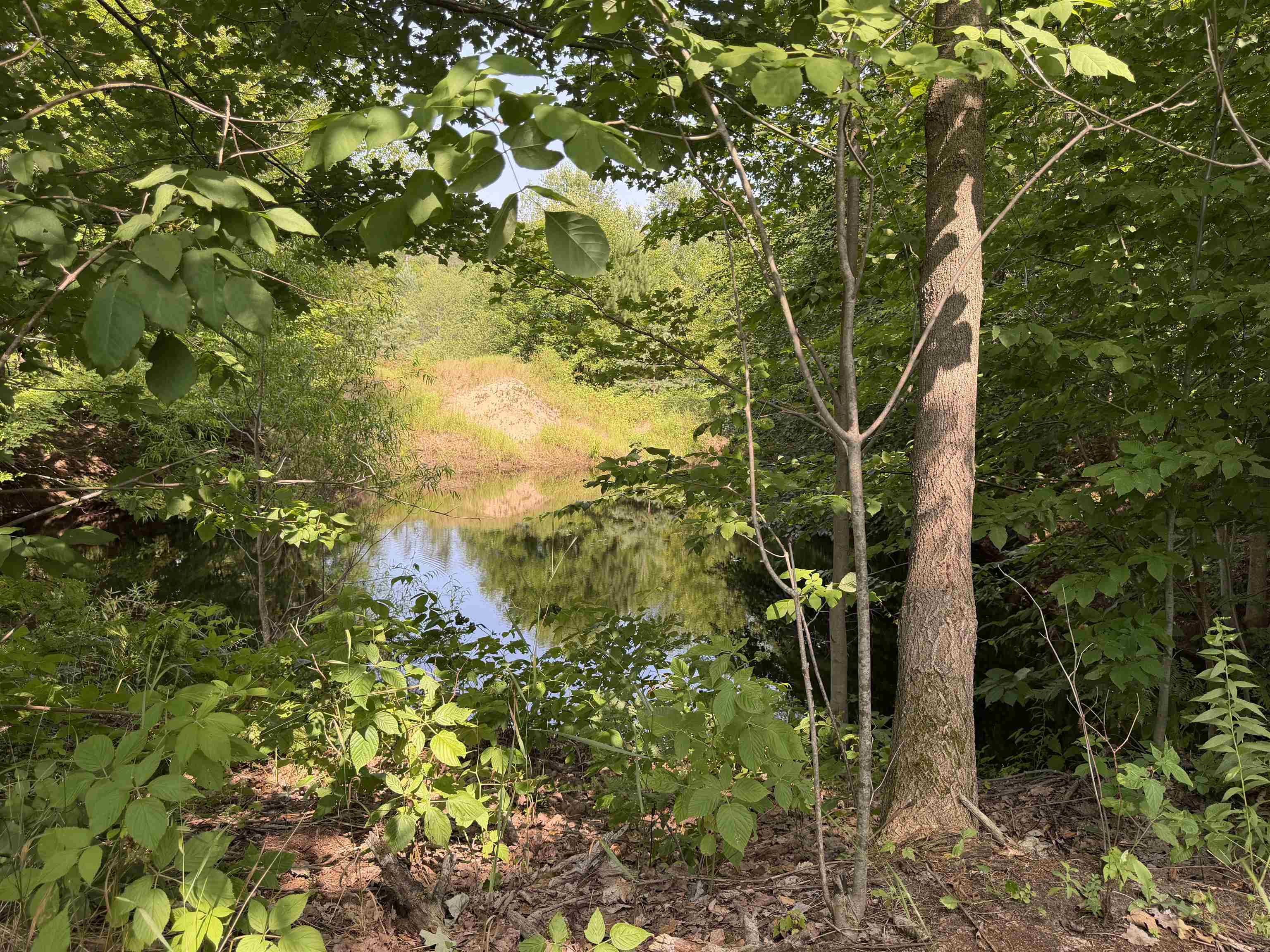 4th image of 0000 Landis Rd, Thompsonville, MI 49683 | MLS# 80065667