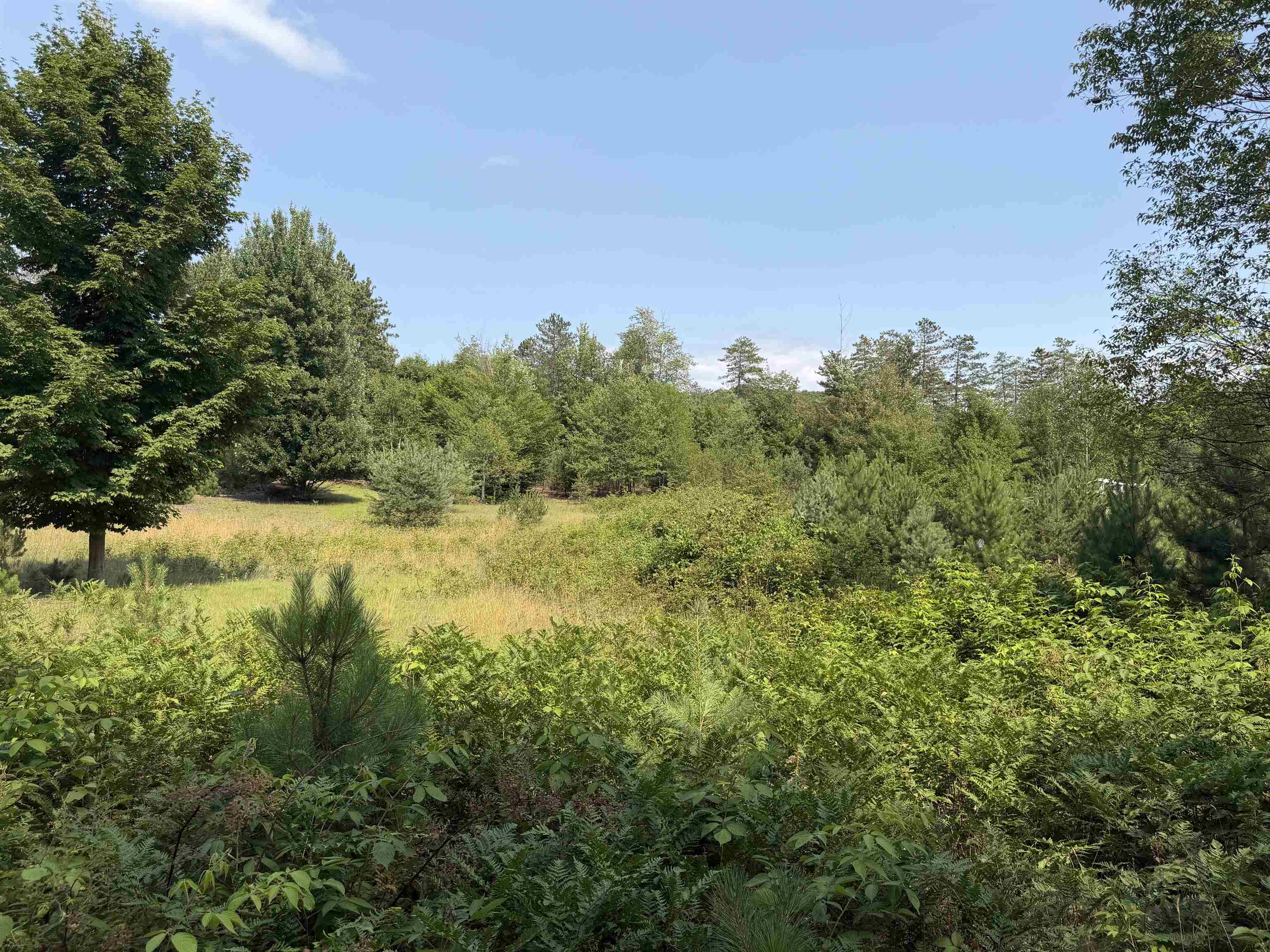 5th image of 0000 Landis Rd, Thompsonville, MI 49683 | MLS# 80065667
