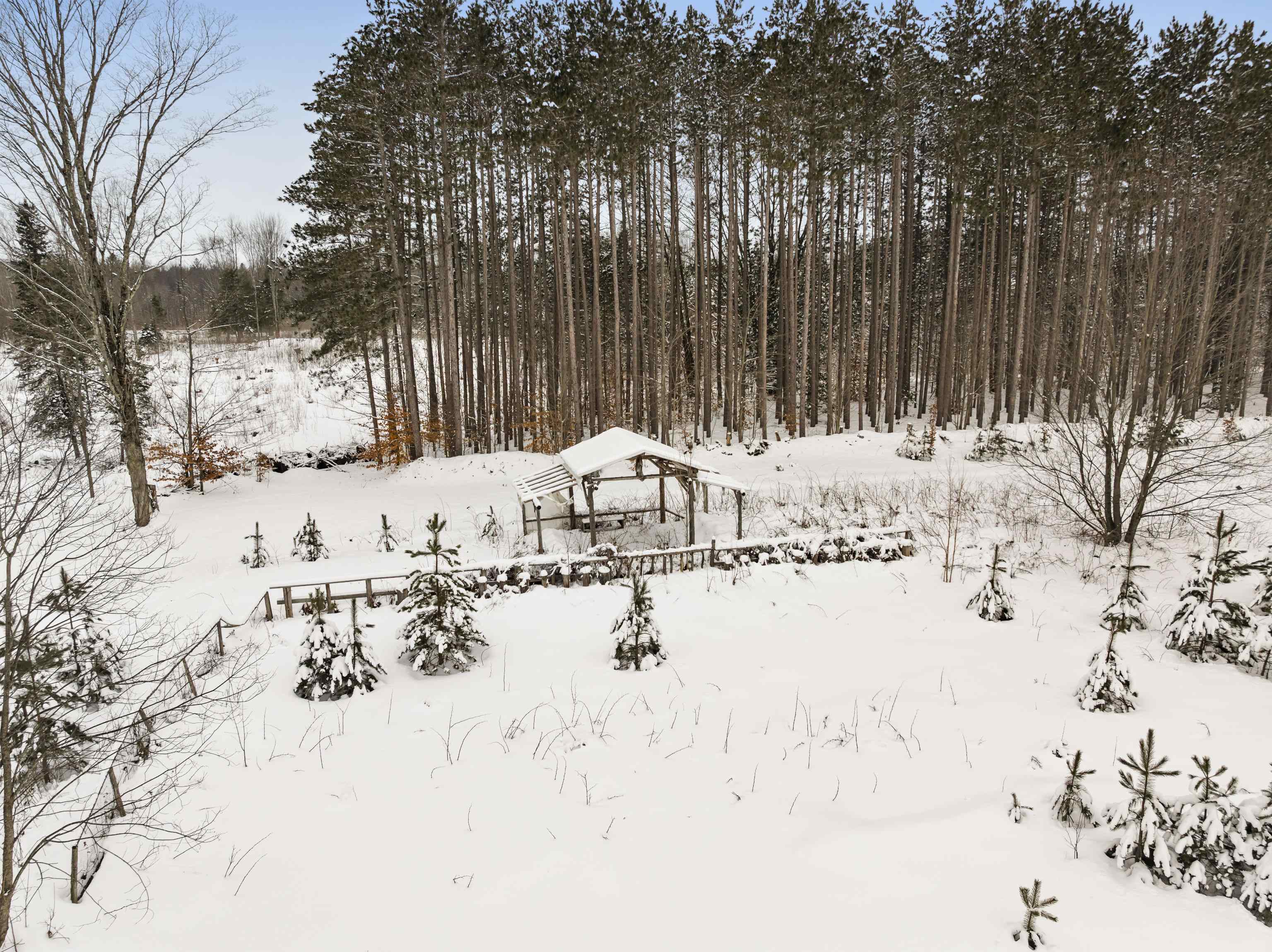 0000 Landis Road, Thompsonville, MI, 49683-1234