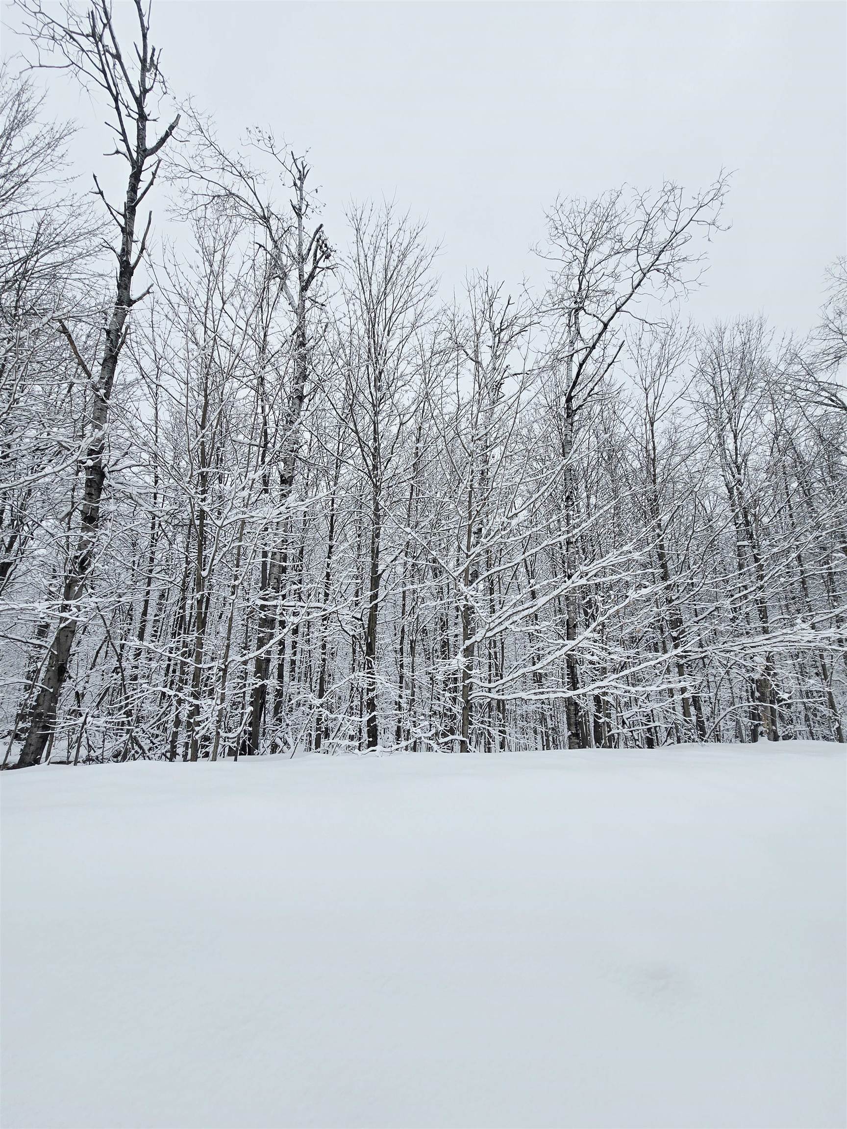 394 Pinedale Drive, Elmira, MI, 49730