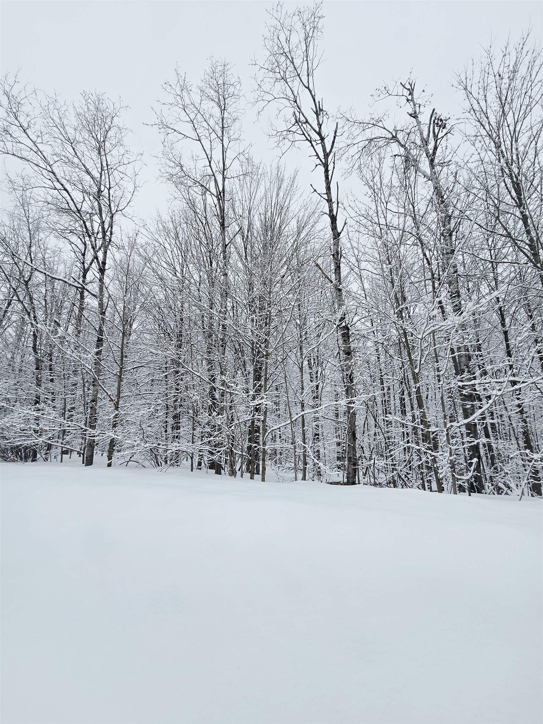 394 Pinedale Drive, Elmira, MI, 49730