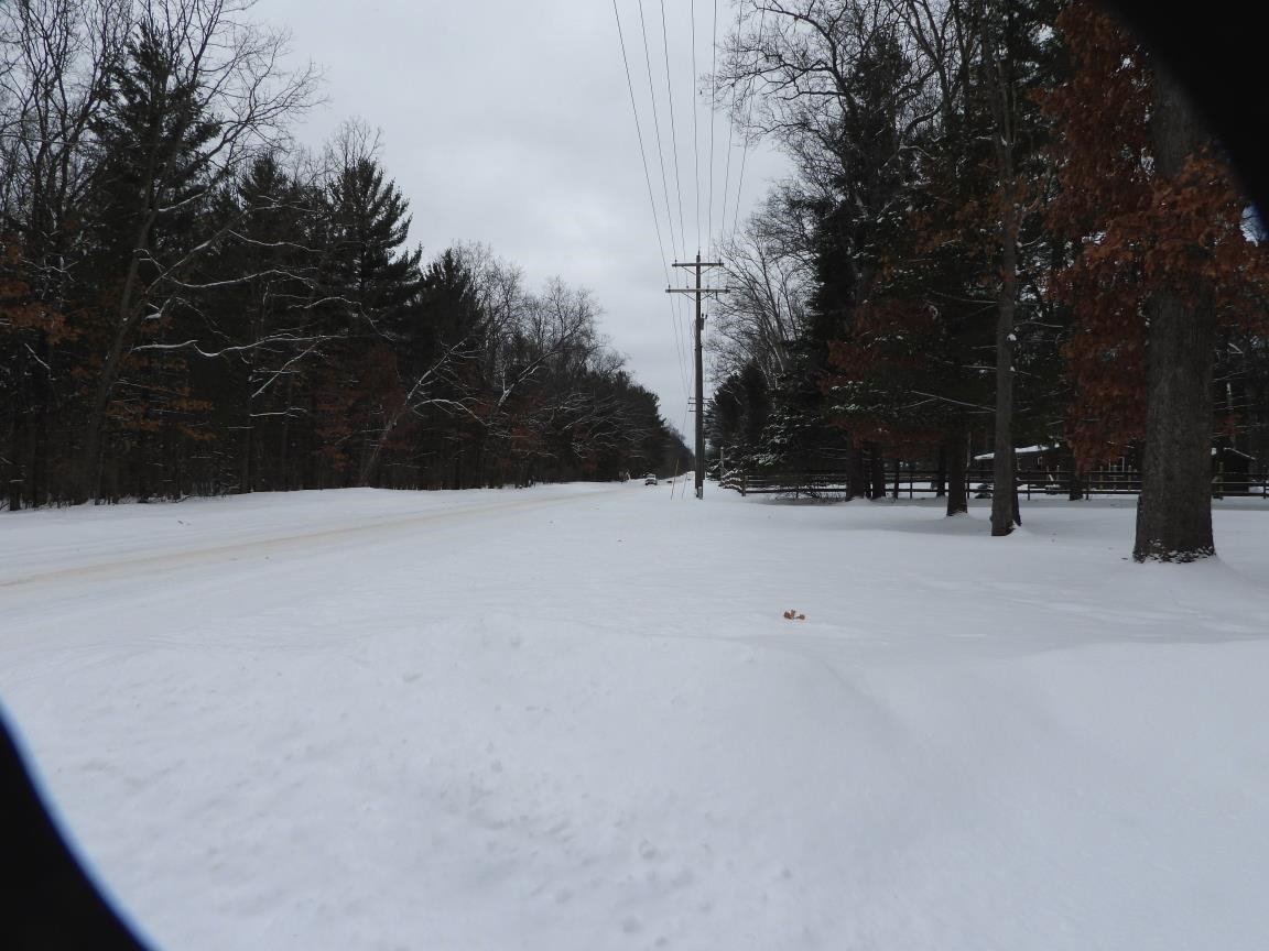 7861 N Bass Lake Road, Irons, MI, 49644