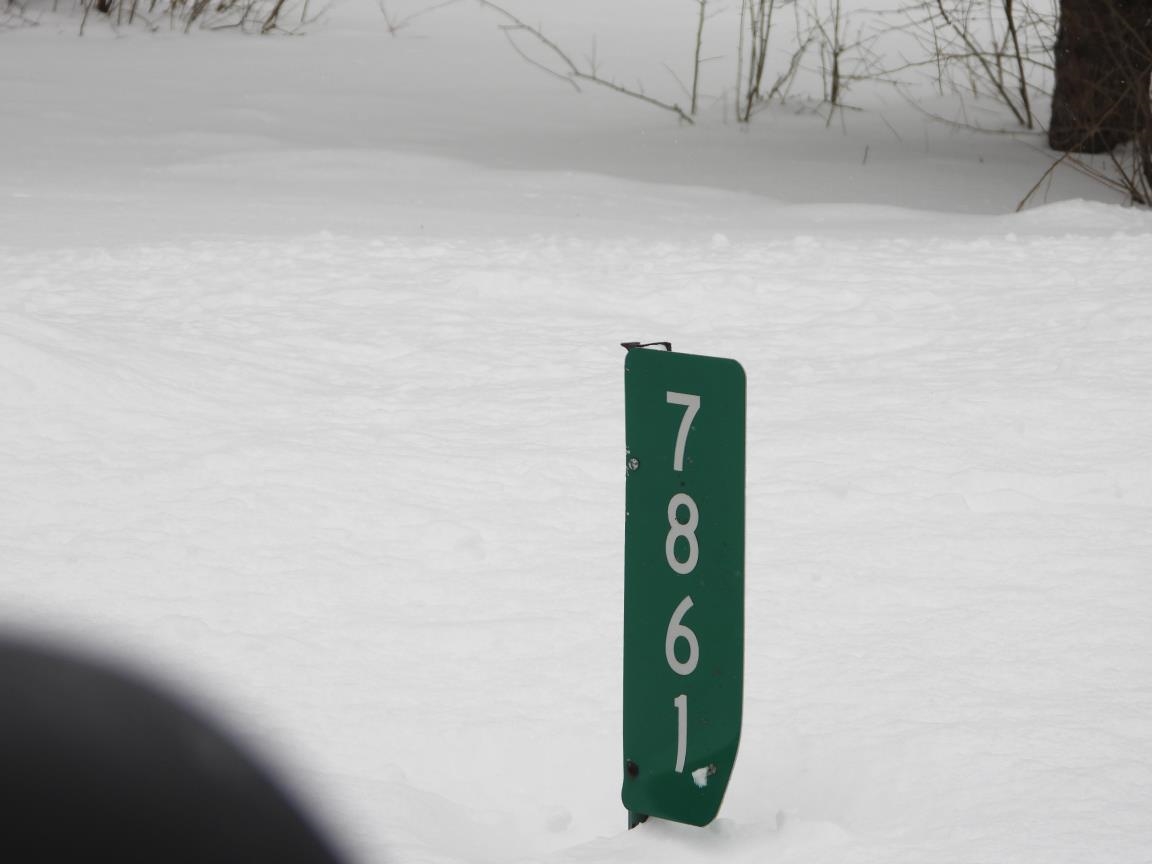 7861 N Bass Lake Road, Irons, MI, 49644