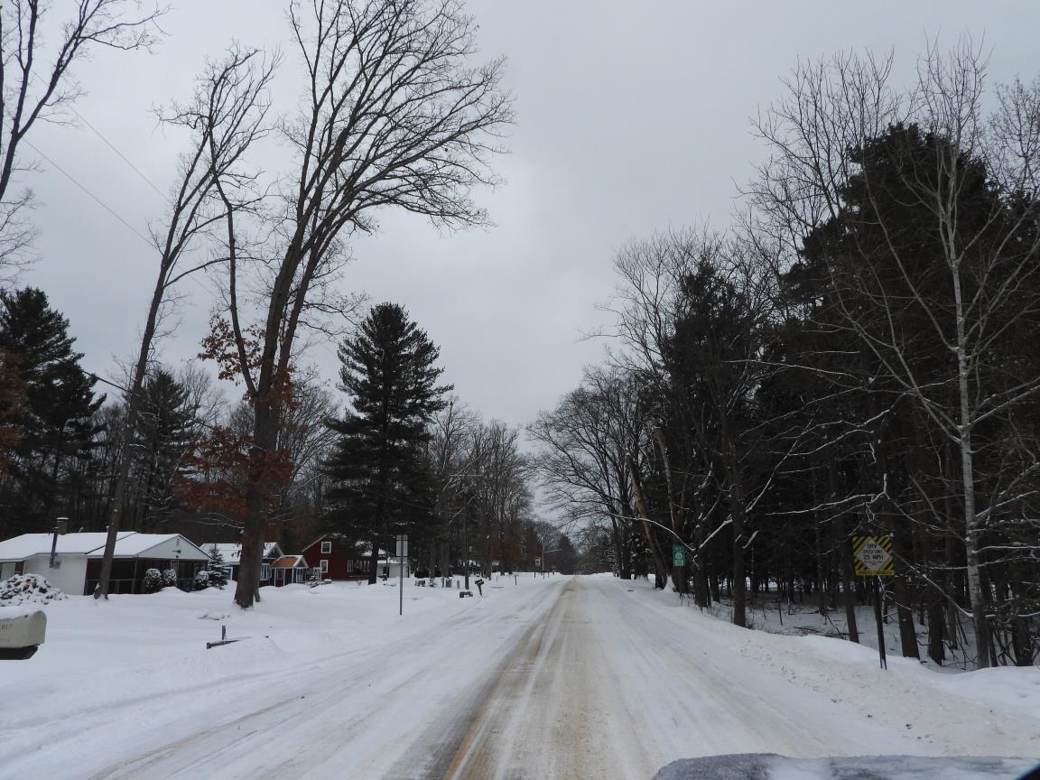 7861 N Bass Lake Road, Irons, MI, 49644