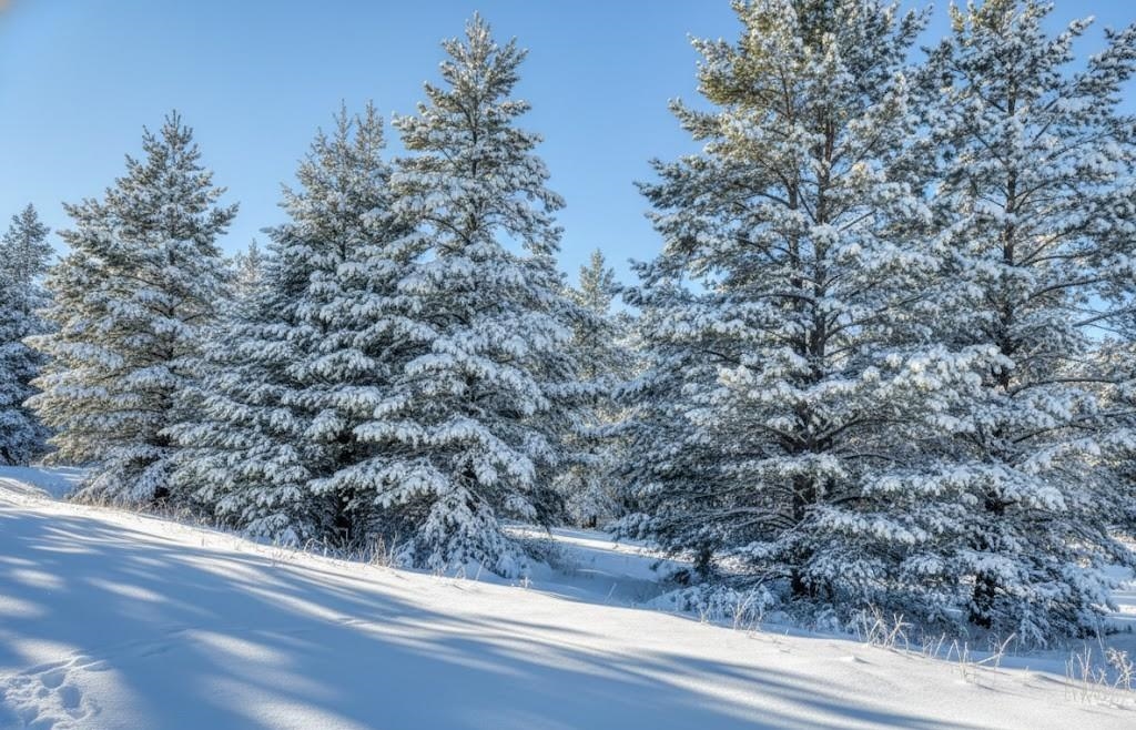 10.15 Spruce Hollow Trace, Fife Lake, MI, 49633