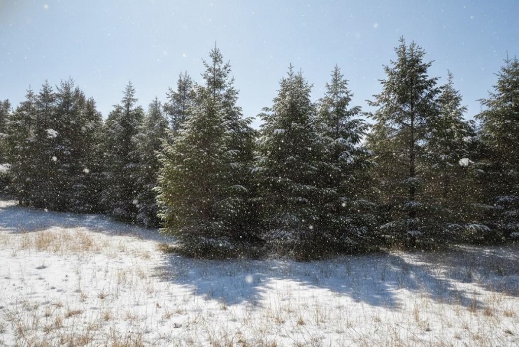 10.15 Spruce Hollow Trace, Fife Lake, MI, 49633