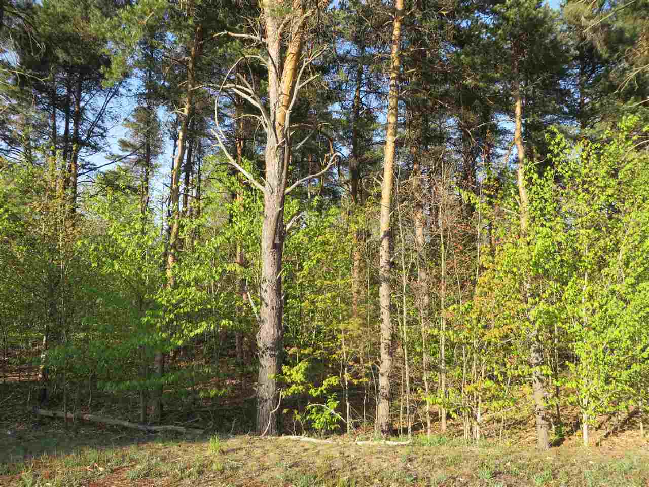 10.15 Spruce Hollow Trace, Fife Lake, MI, 49633