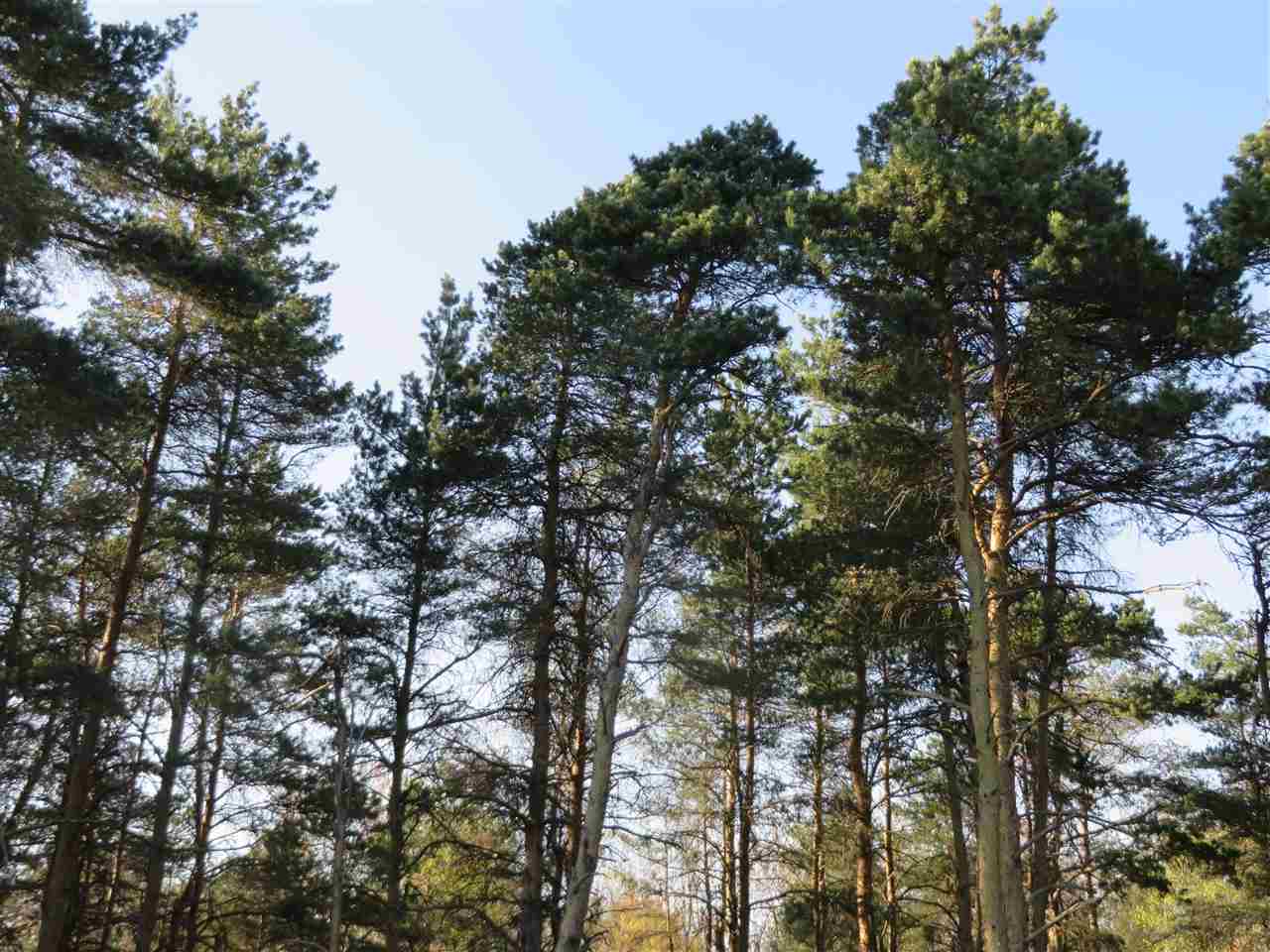 10.15 Spruce Hollow Trace, Fife Lake, MI, 49633