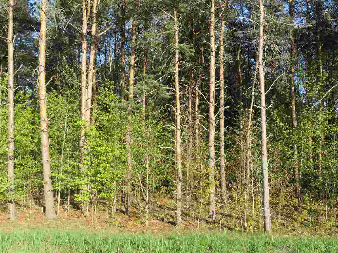 10.15 Spruce Hollow Trace, Fife Lake, MI, 49633