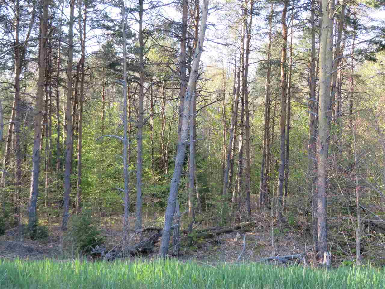 10.15 Spruce Hollow Trace, Fife Lake, MI, 49633