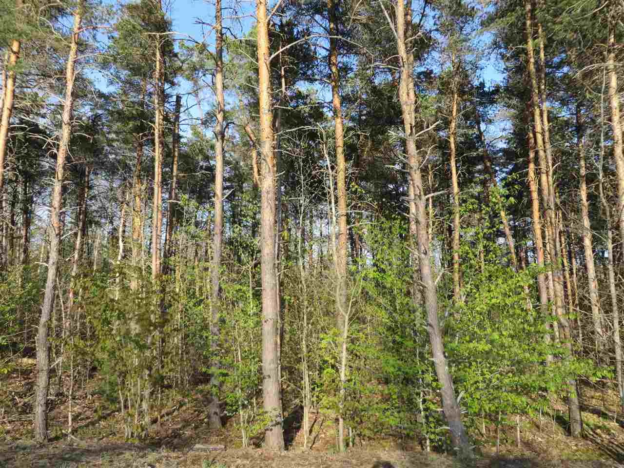 10.15 Spruce Hollow Trace, Fife Lake, MI, 49633