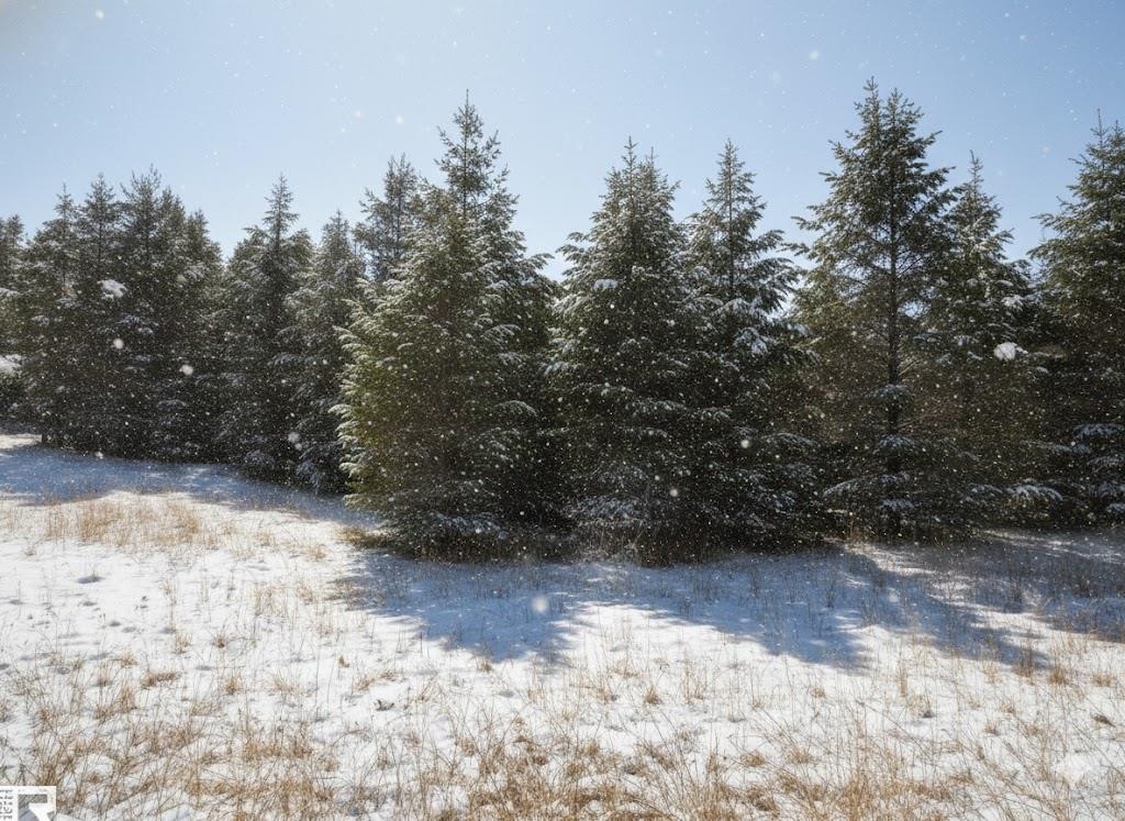 10.15 Spruce Hollow Trace, Fife Lake, MI, 49633