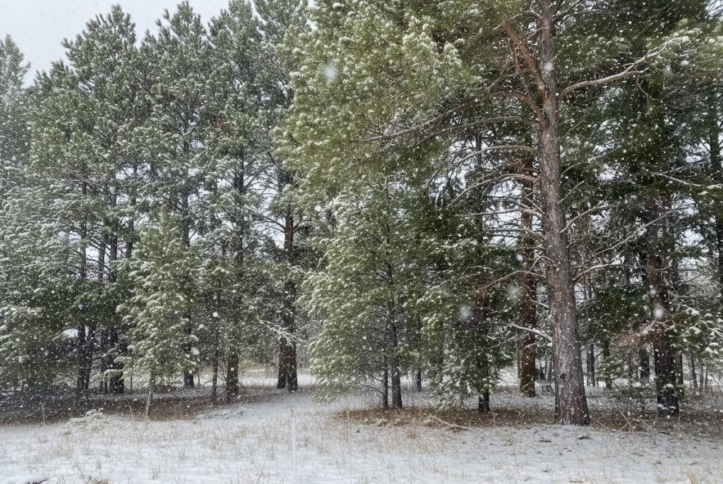 10.15 Spruce Hollow Trace, Fife Lake, MI, 49633