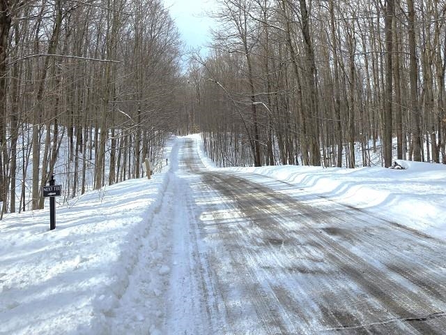 119 Legend Trail, Bellaire, MI, 49615