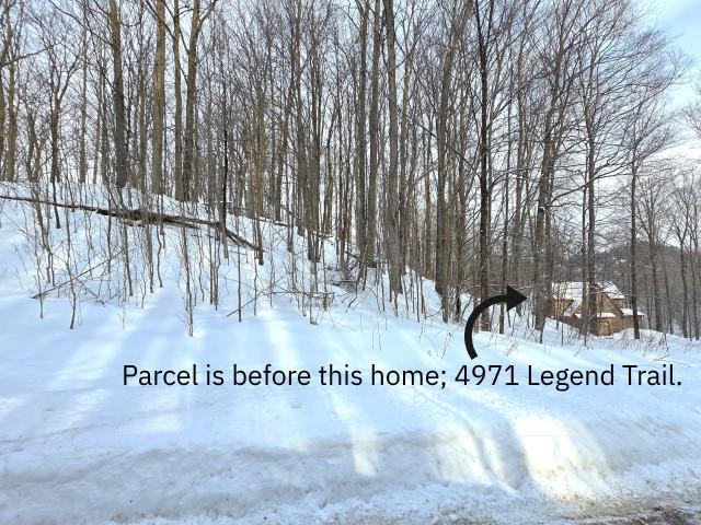 119 Legend Trail, Bellaire, MI, 49615