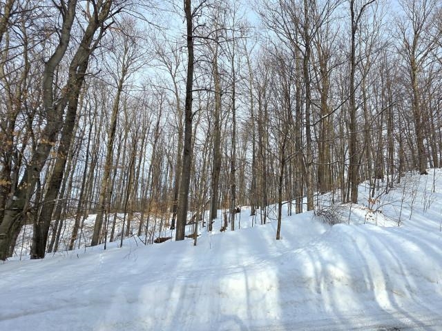 119 Legend Trail photo 8
