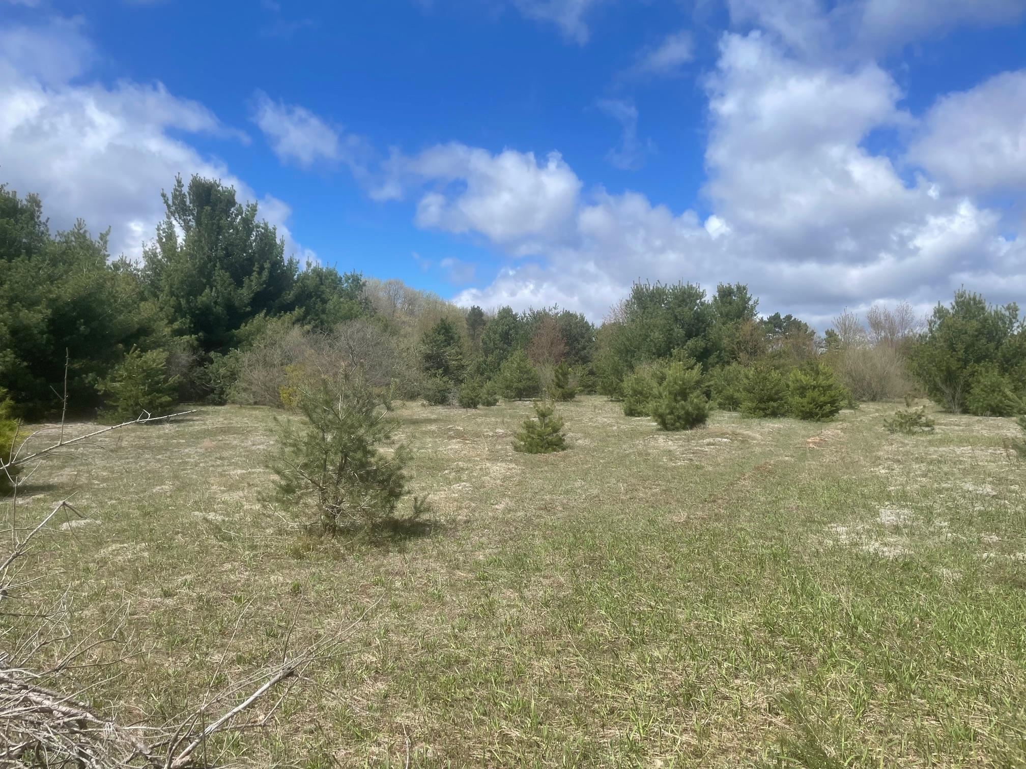 2nd image of Honor Hwy, Interlochen, MI 49643 | MLS# 80065721