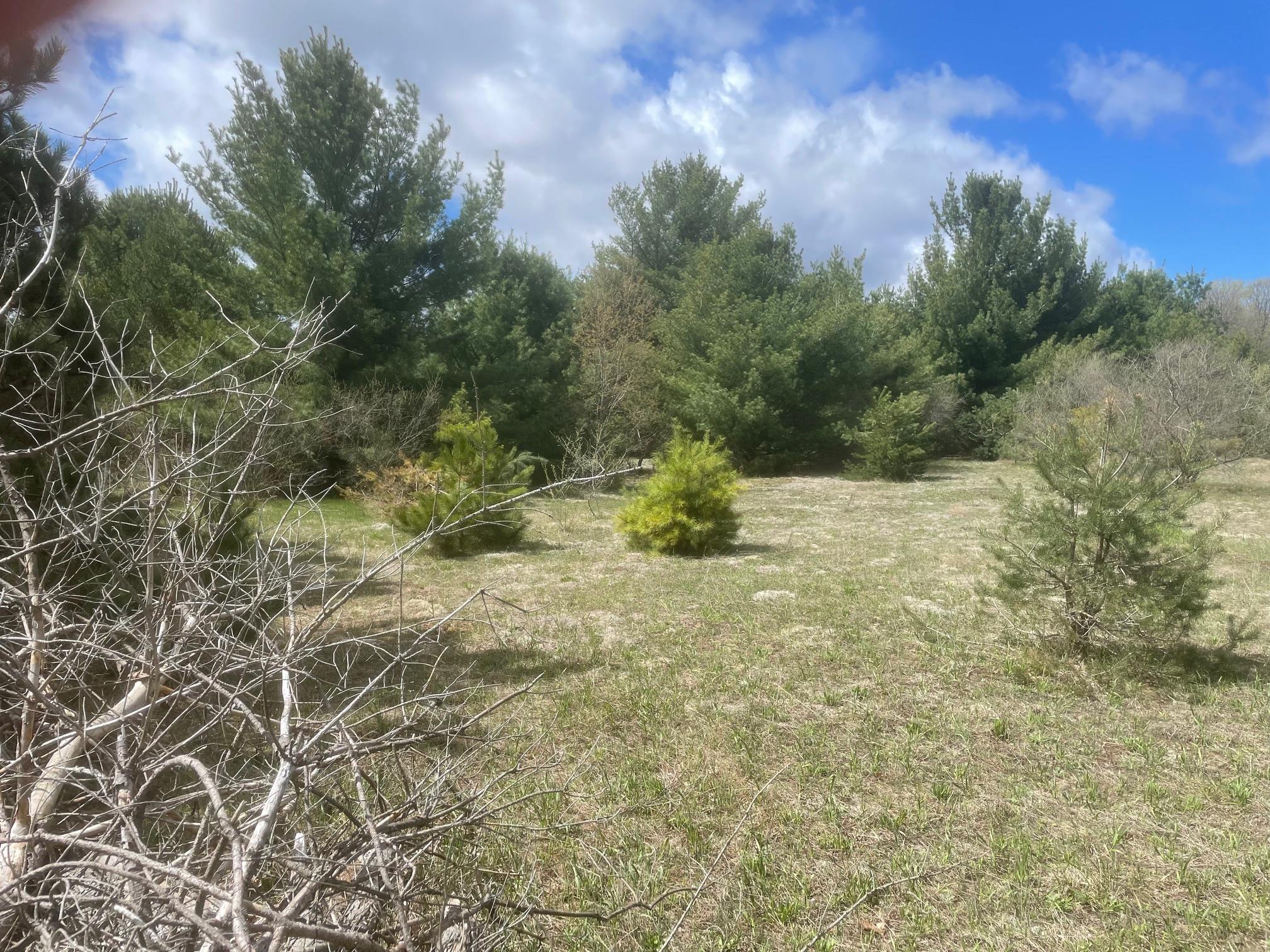 3rd image of Honor Hwy, Interlochen, MI 49643 | MLS# 80065721