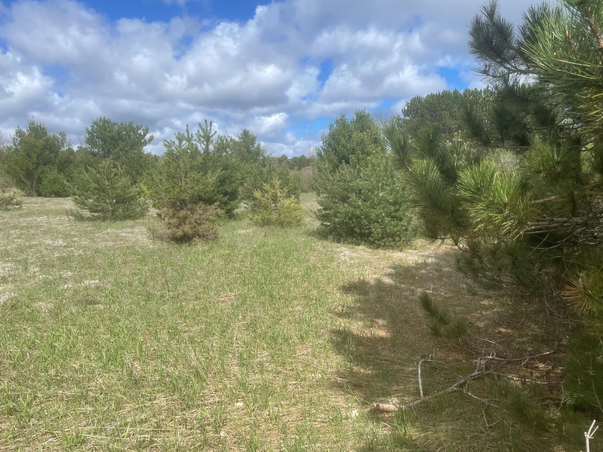 4th image of Honor Hwy, Interlochen, MI 49643 | MLS# 80065721